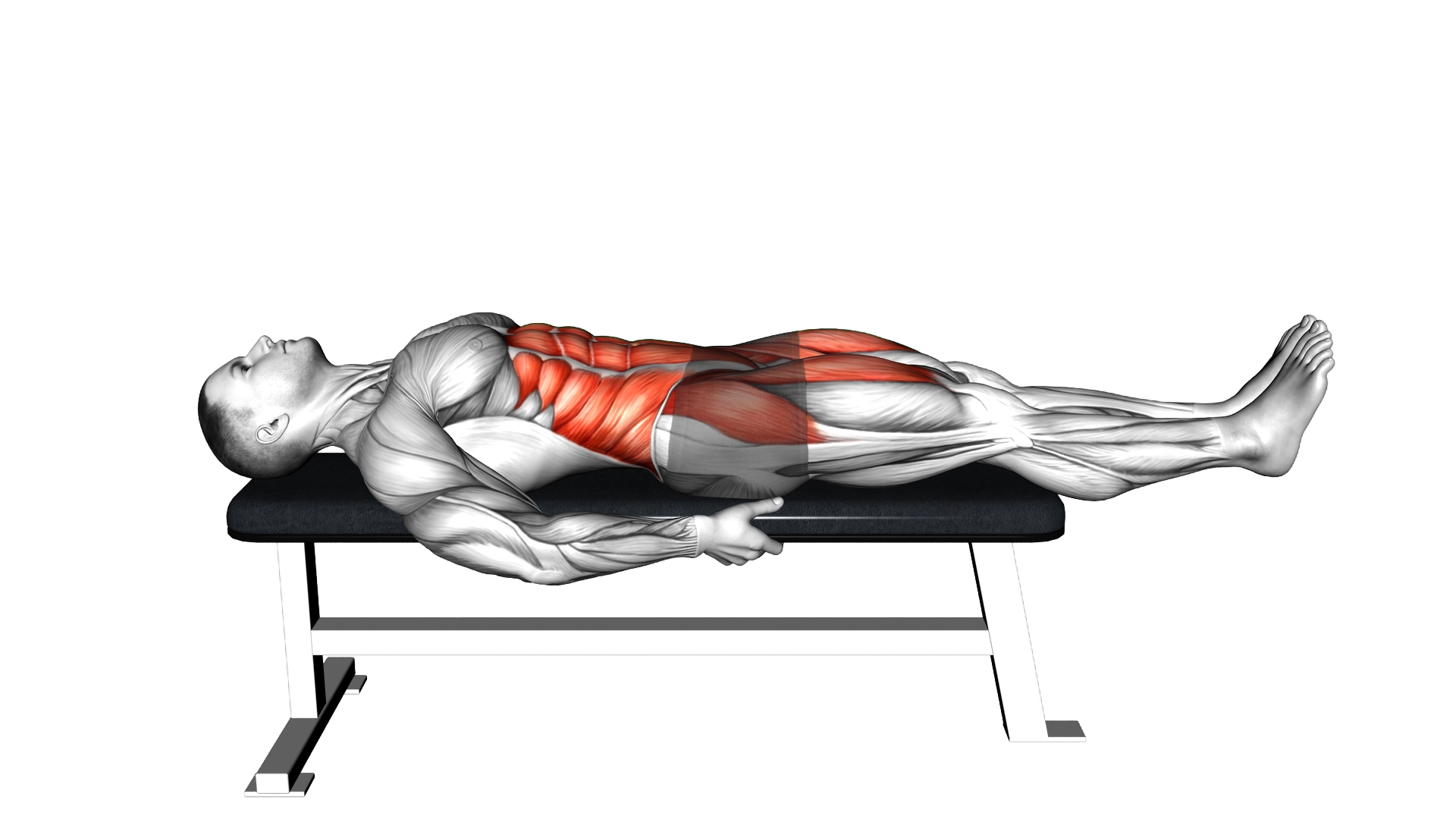 Lying 6 Inch Hold exercise demonstration