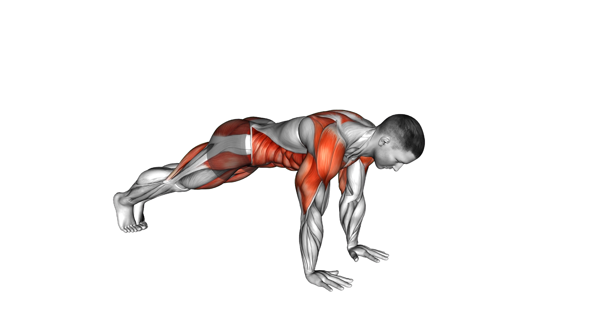 Mountain Climber and Dynamic Plank exercise demonstration