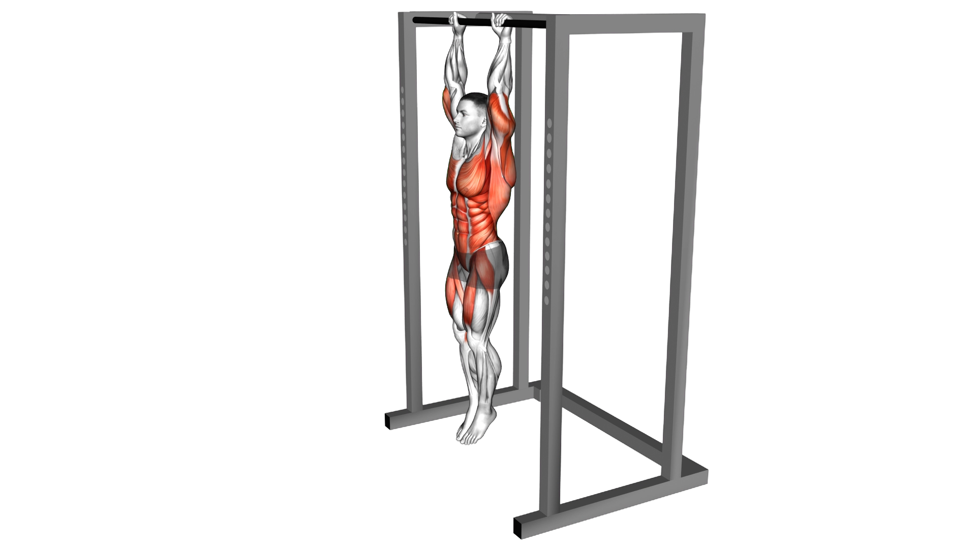 Hanging Front Lever Raise exercise demonstration