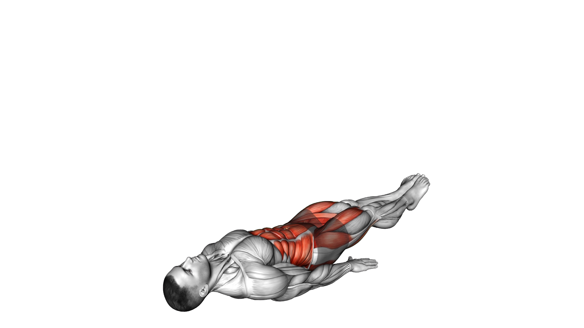 Lying Leg Circle Hip Raise exercise demonstration