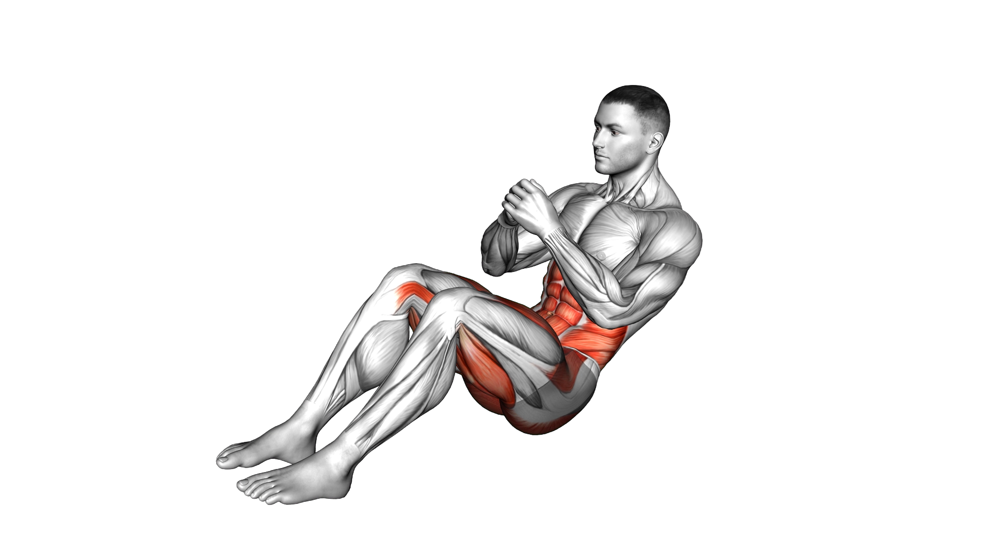 Russian Twist Plus exercise demonstration
