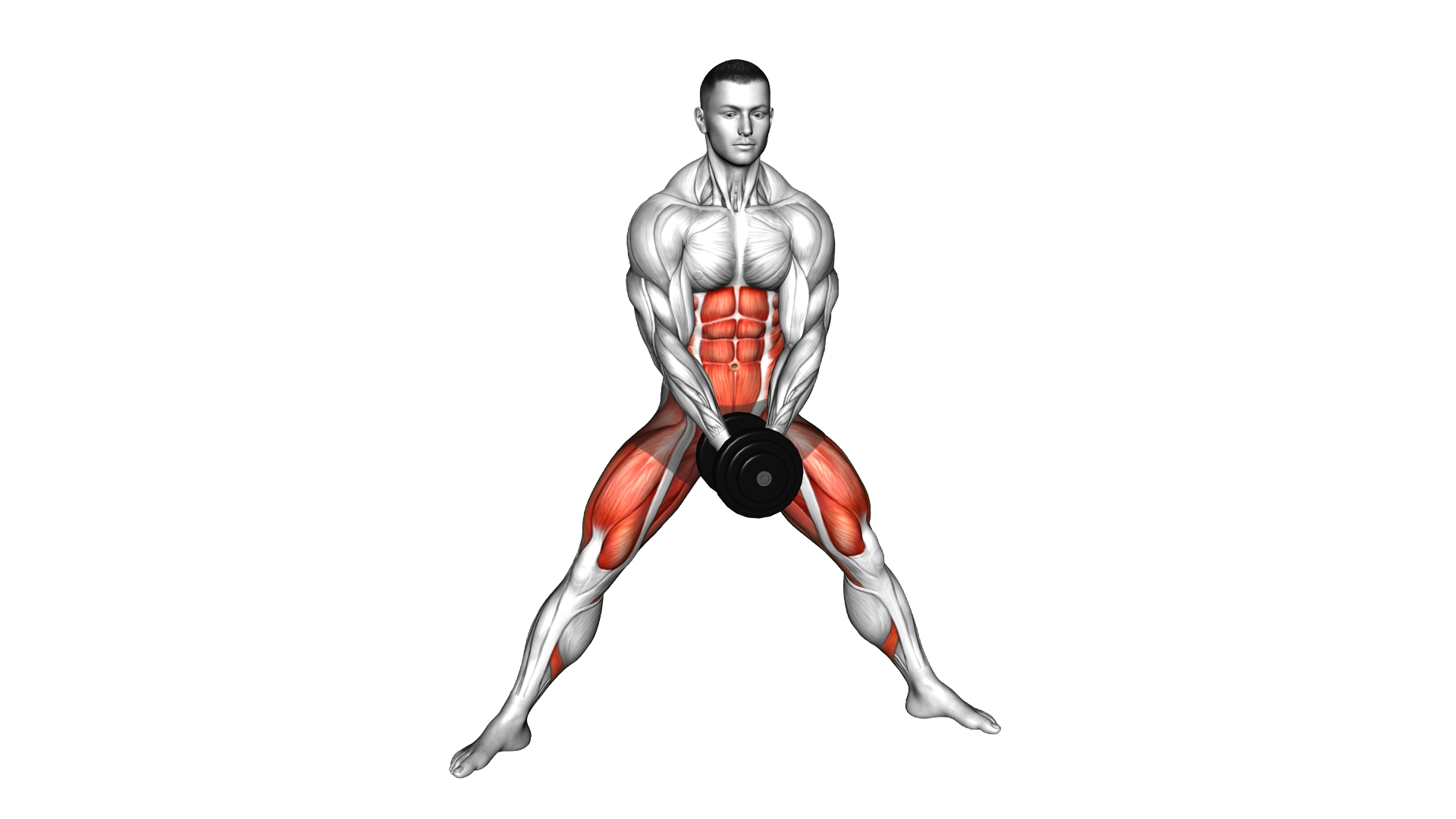 Dumbbell Change Plyo Side Lunge exercise demonstration