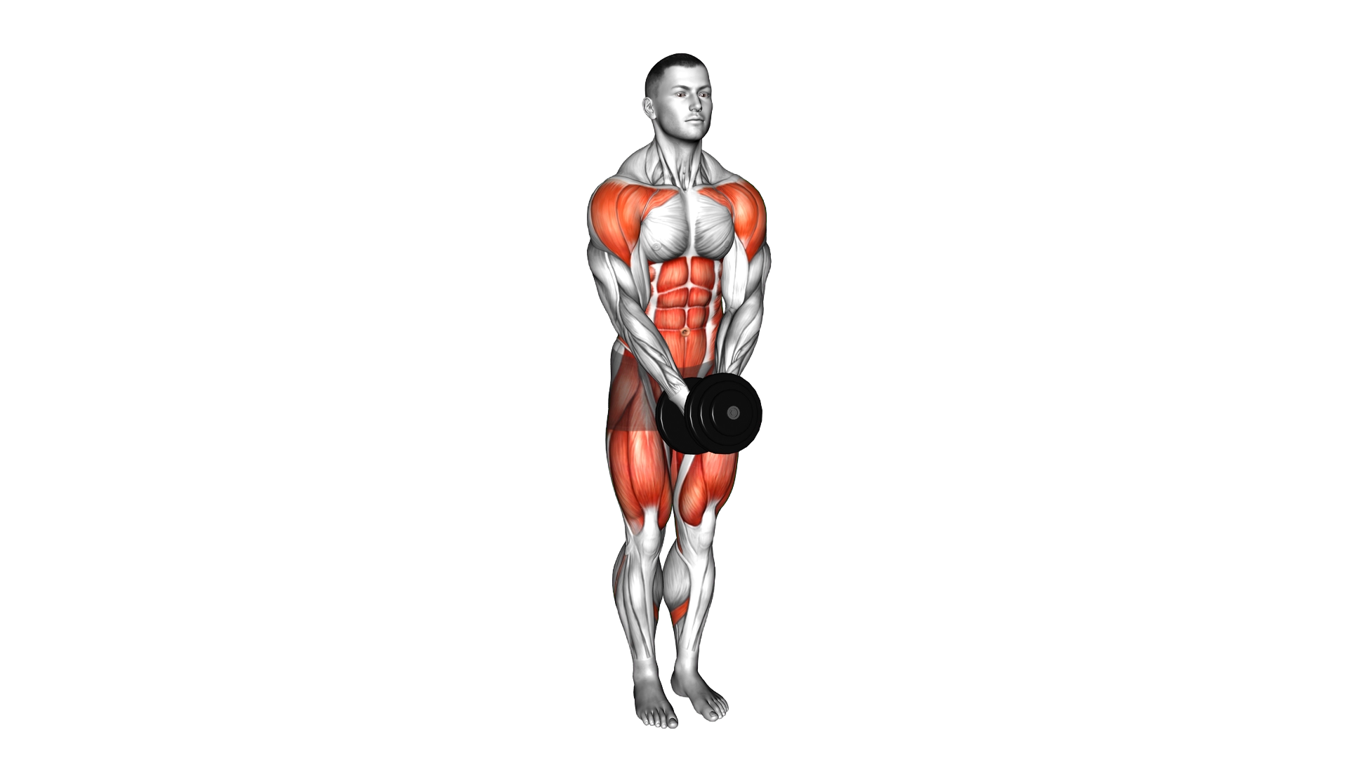 Dumbbell Change Lateral Raise Curtsey Lunge exercise demonstration