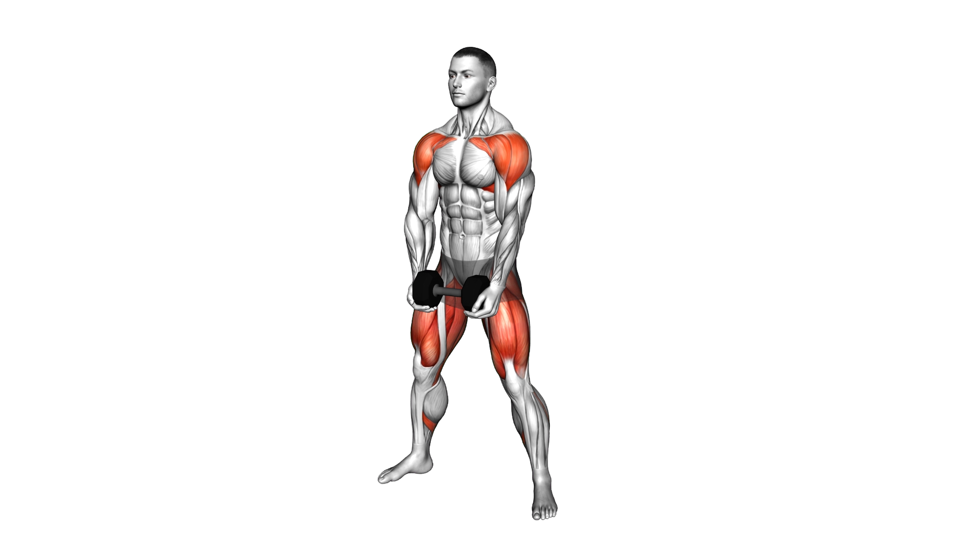Dumbbell Sumo Squat Front Raise exercise demonstration
