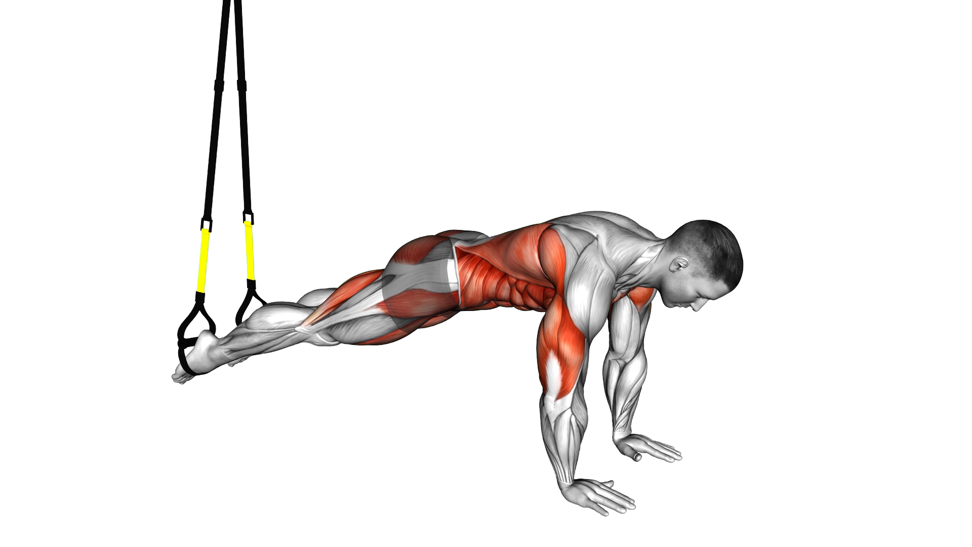 Suspender Pike exercise demonstration