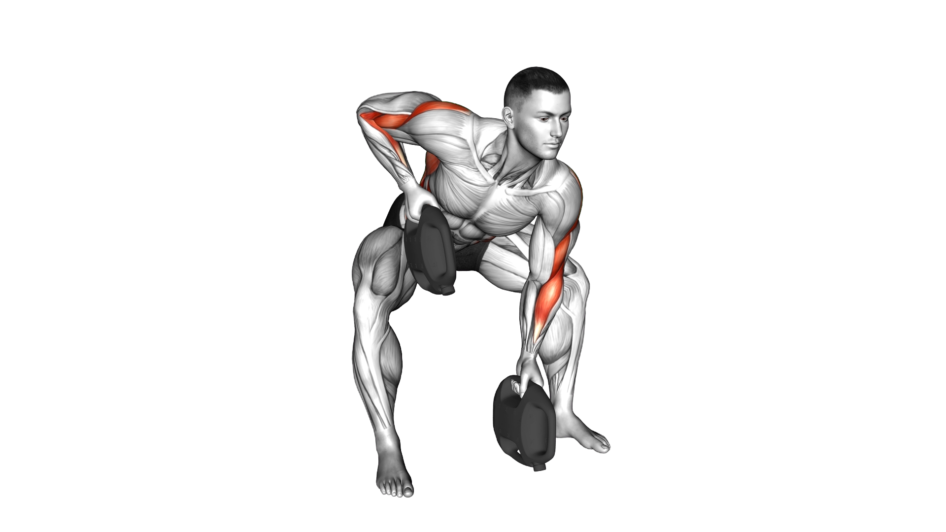 Bottle Weighted Gorilla Row exercise demonstration
