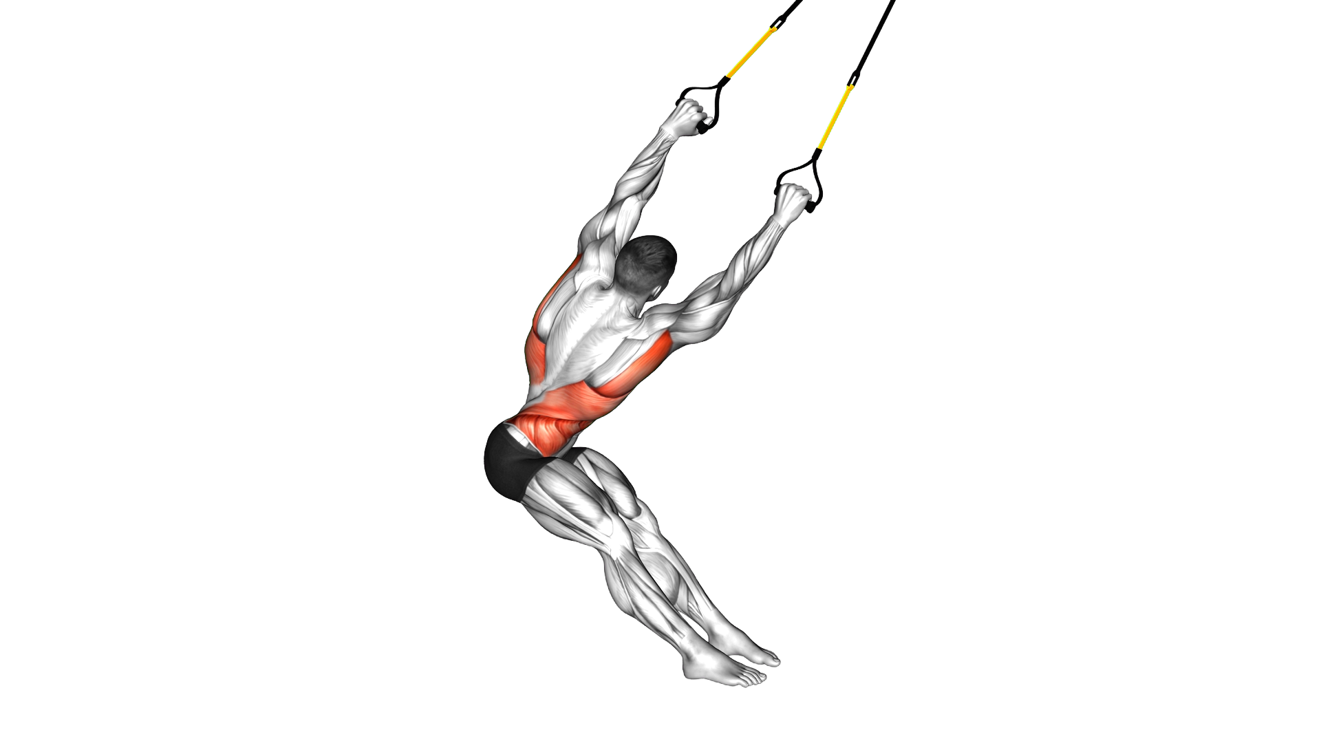 Suspender Lat Stretch exercise demonstration