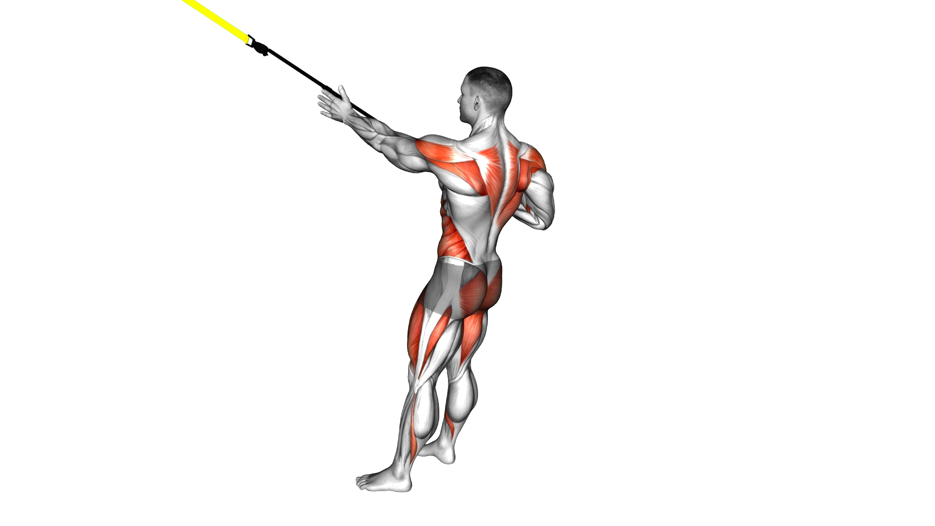 Suspender Squat Power Pull exercise demonstration