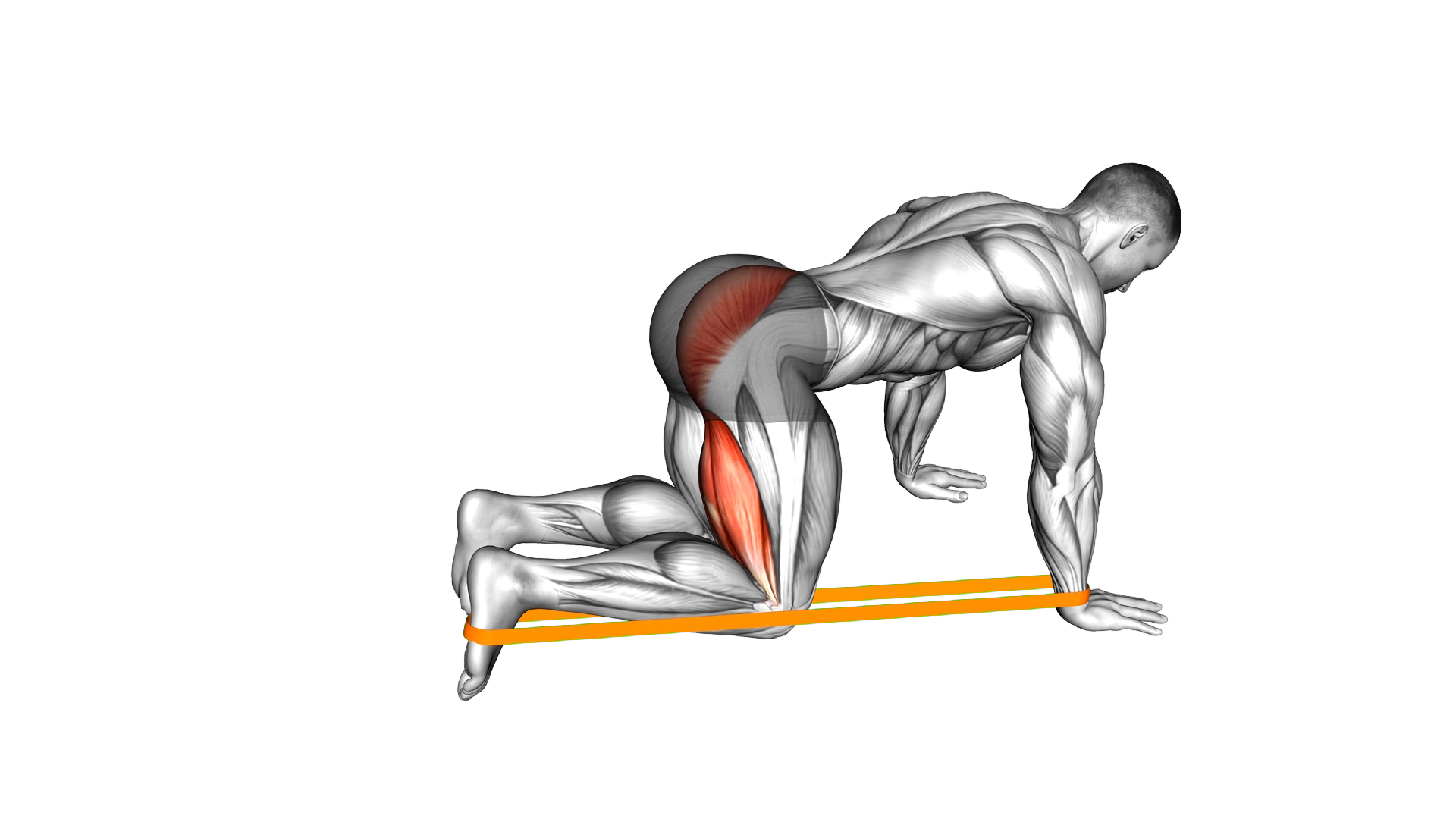Resistance Band Leg Kickback exercise demonstration