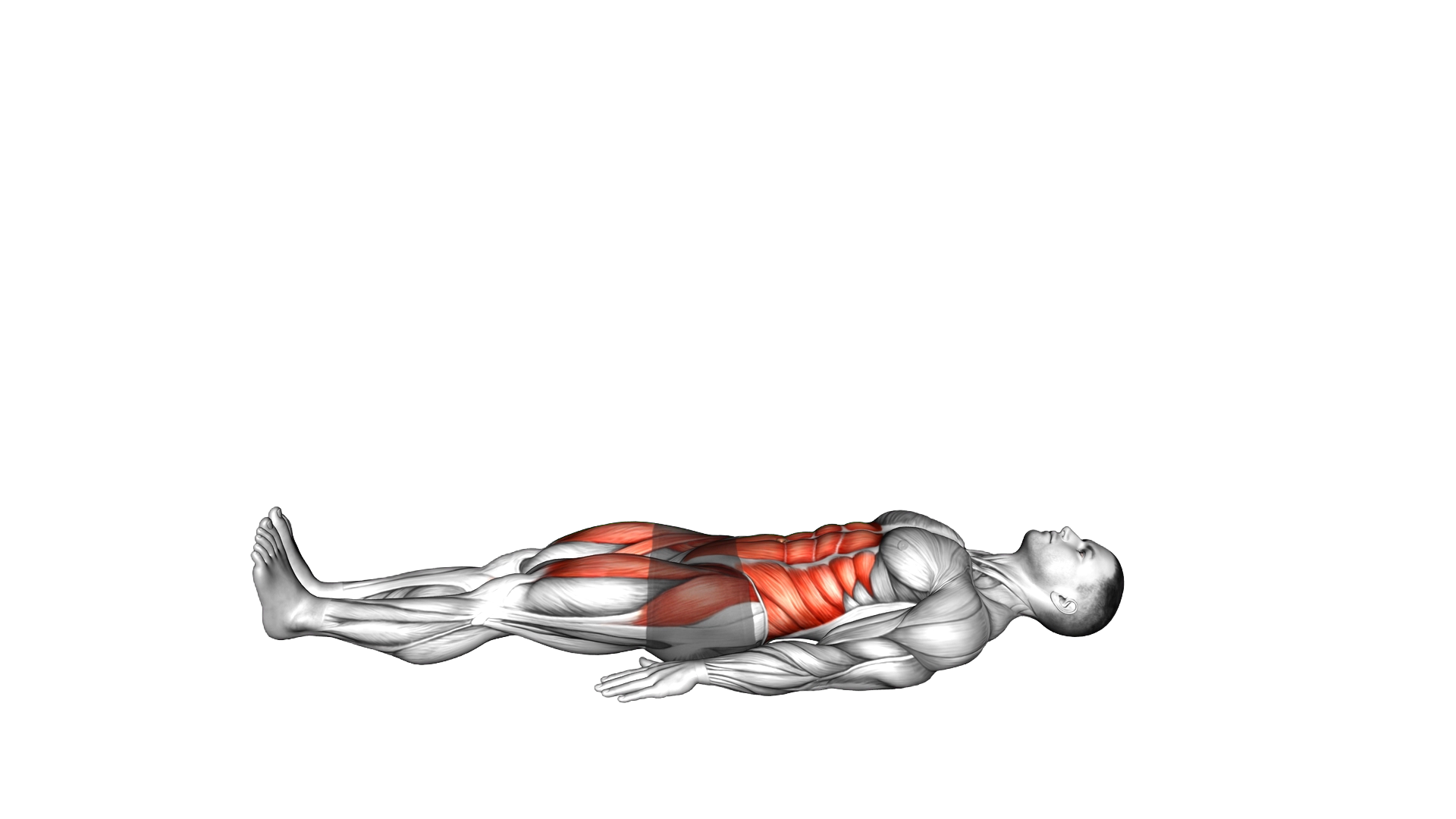 Leg Raise Hip Lift exercise demonstration