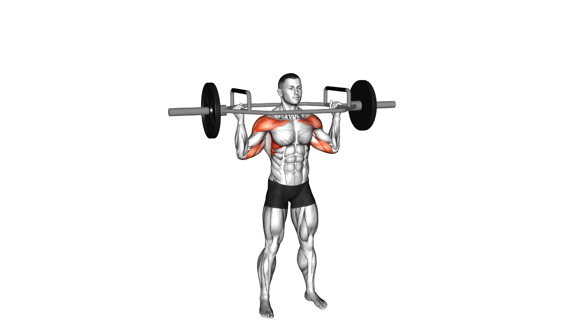 Trap Bar Overhead Press exercise demonstration