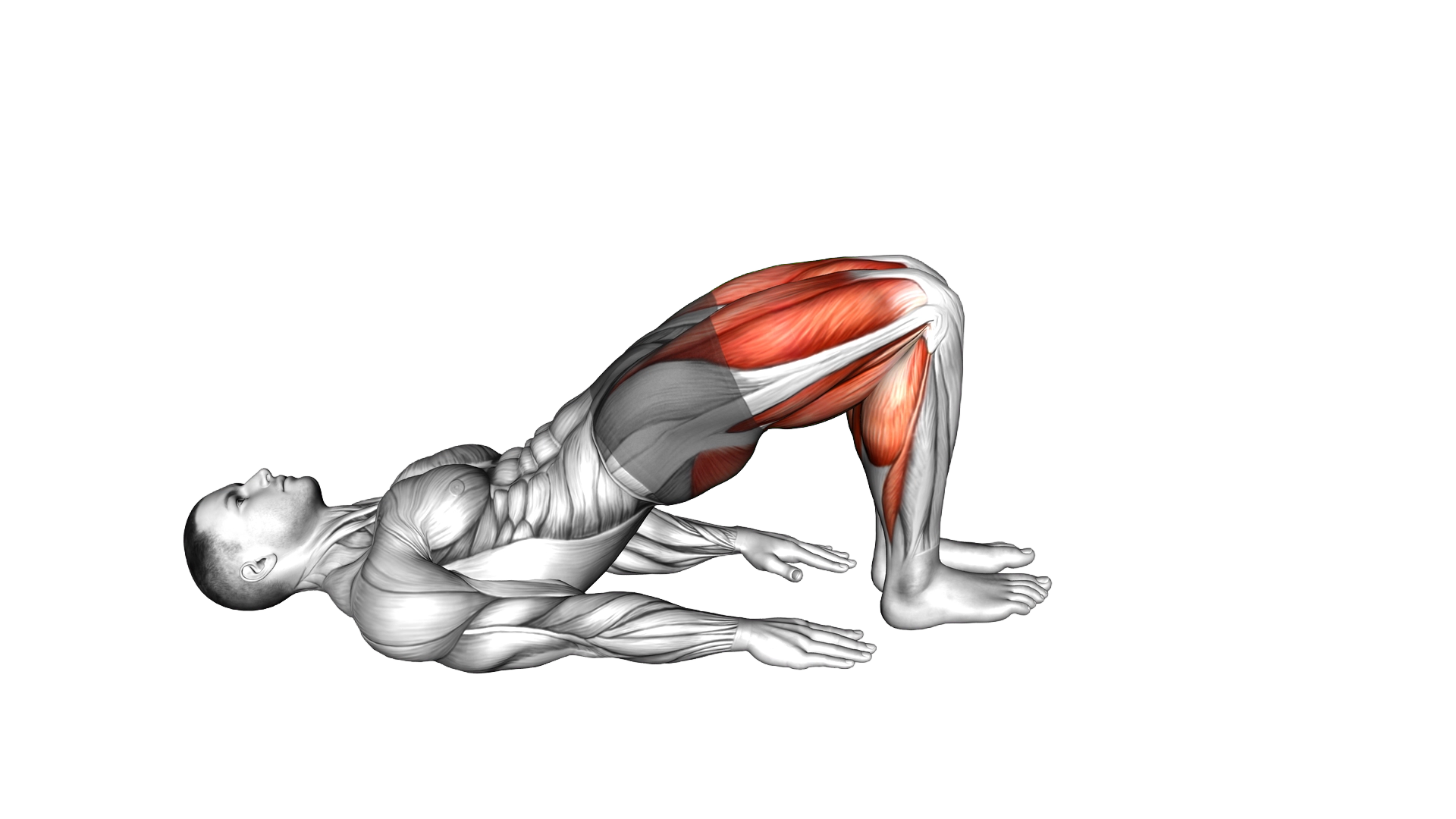 Glute Bridge Walk exercise demonstration
