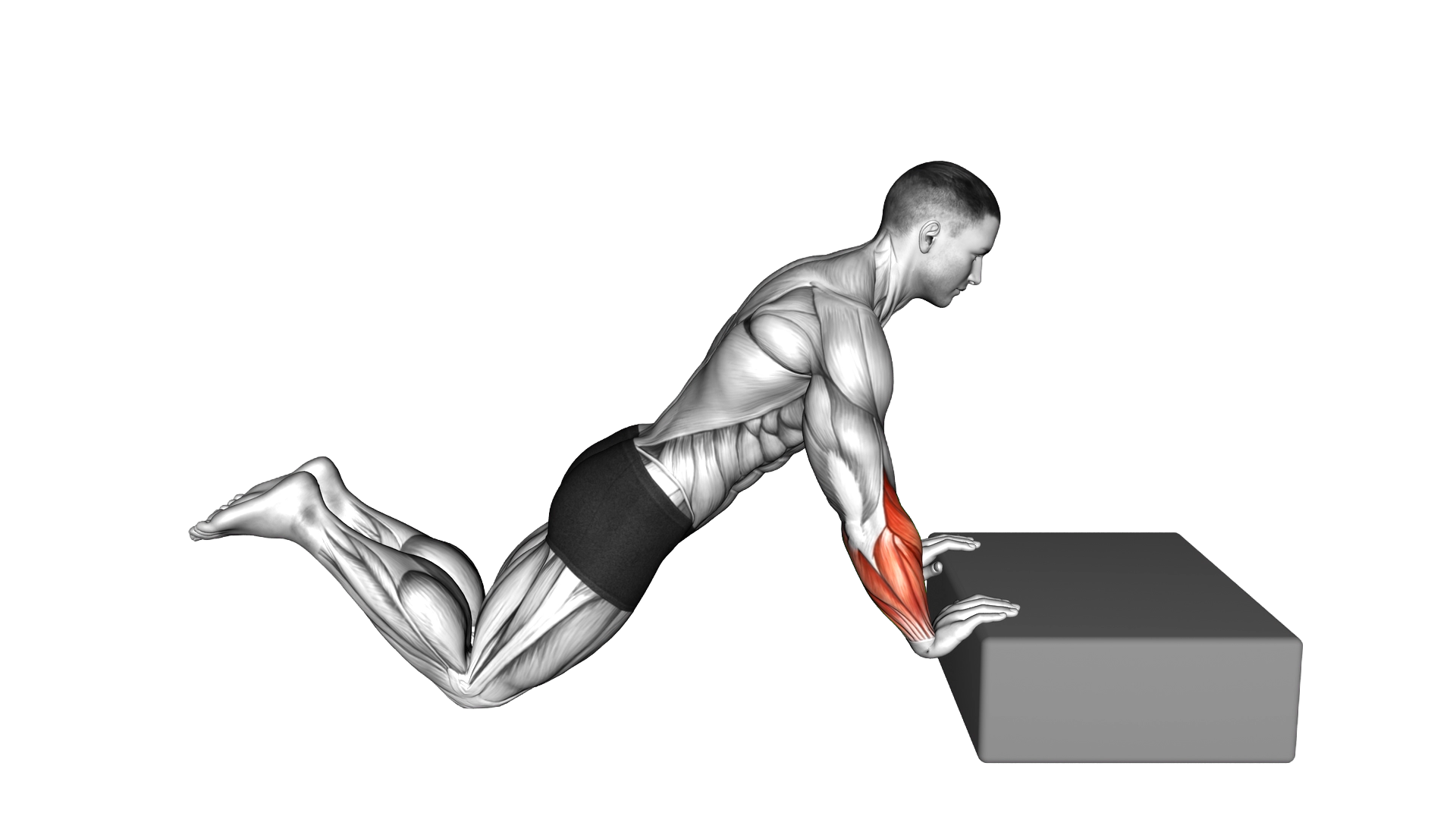 Kneeling Incline Finger Press exercise demonstration