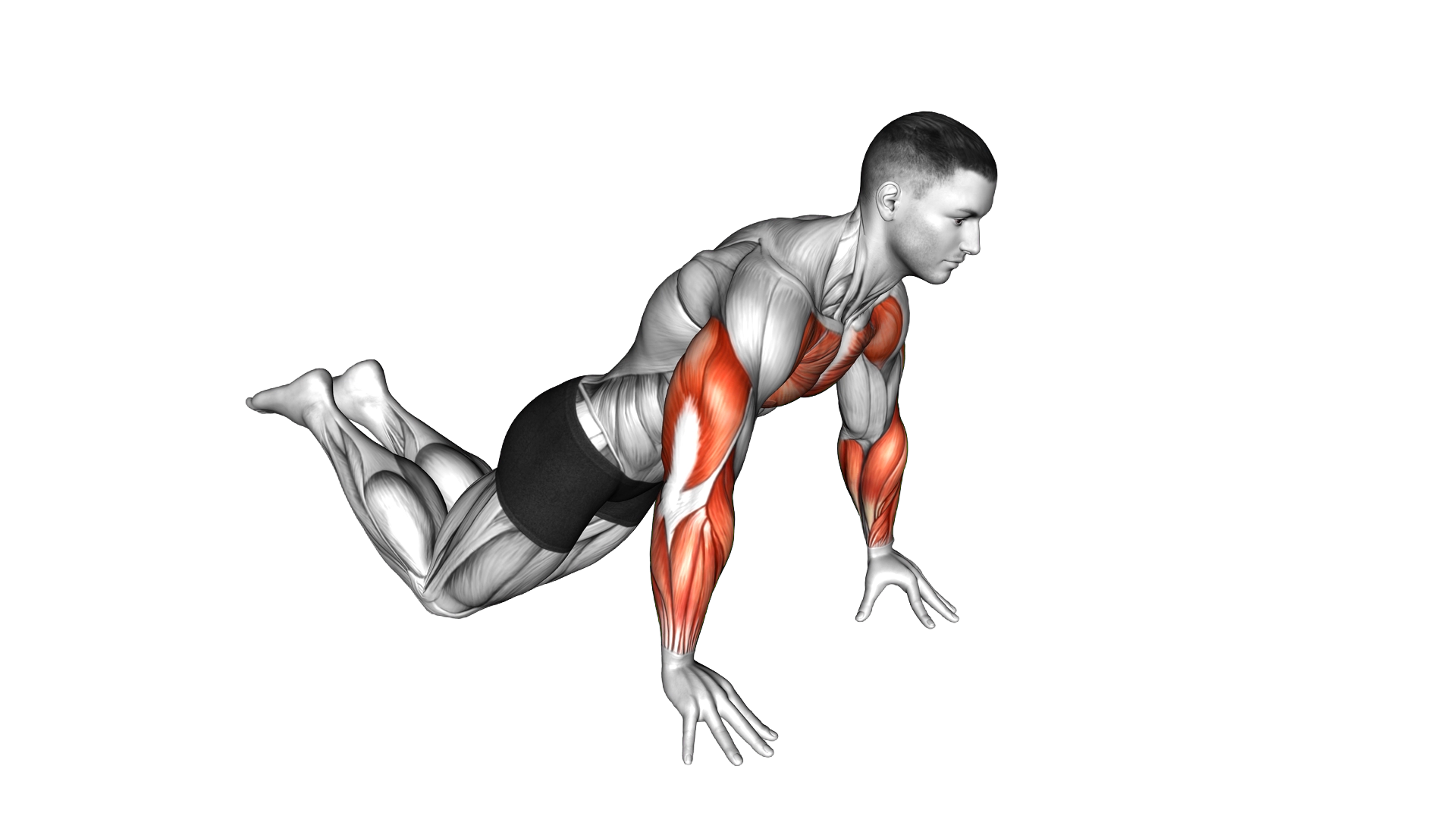 Kneeling Finger Push up exercise demonstration