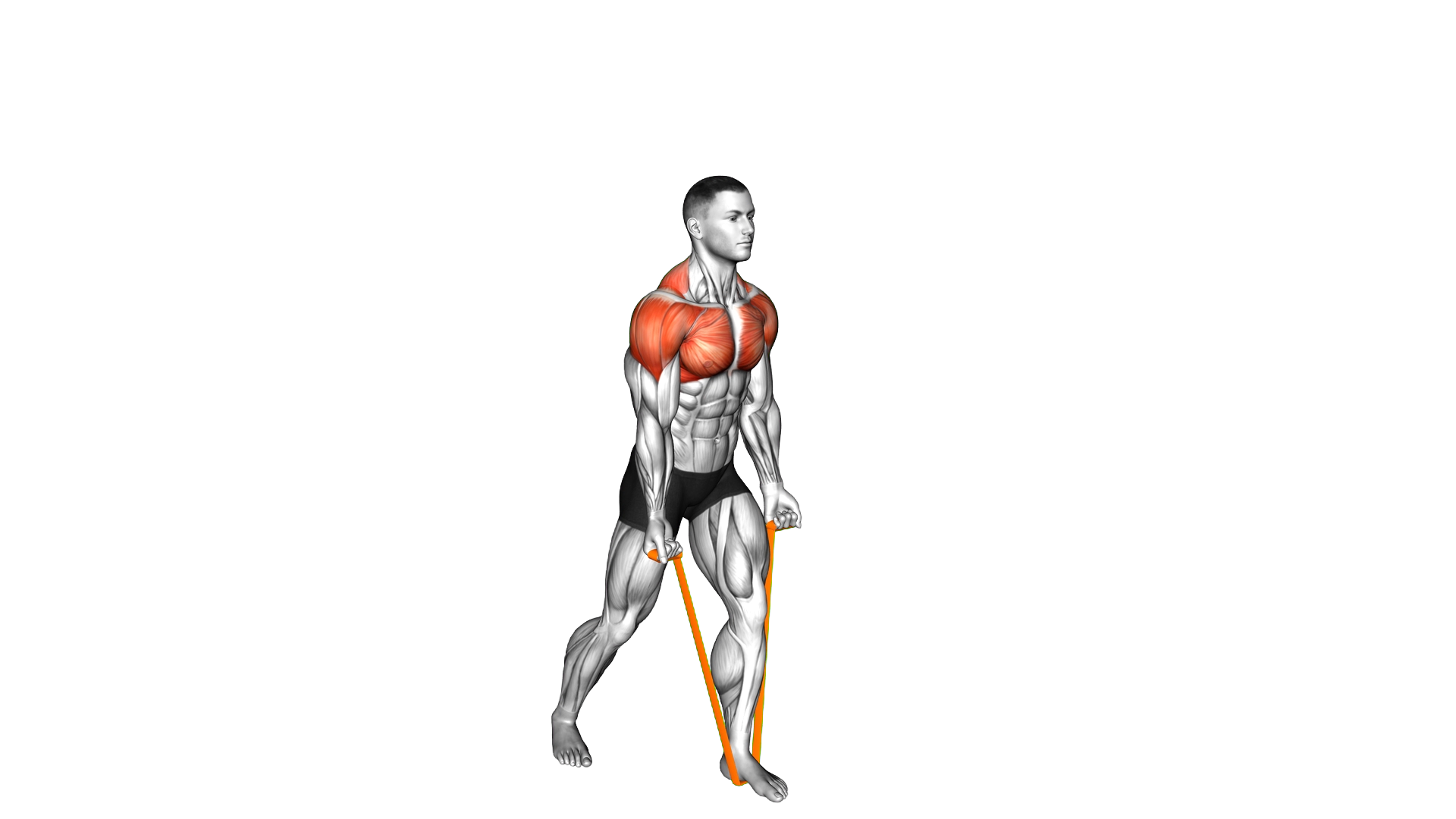 Resistance Band Standing Around the World exercise demonstration