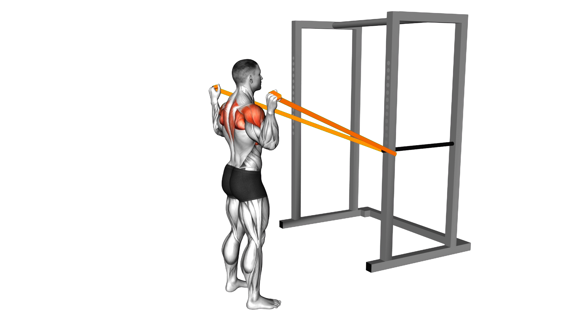 Resistance Band Y Press exercise demonstration