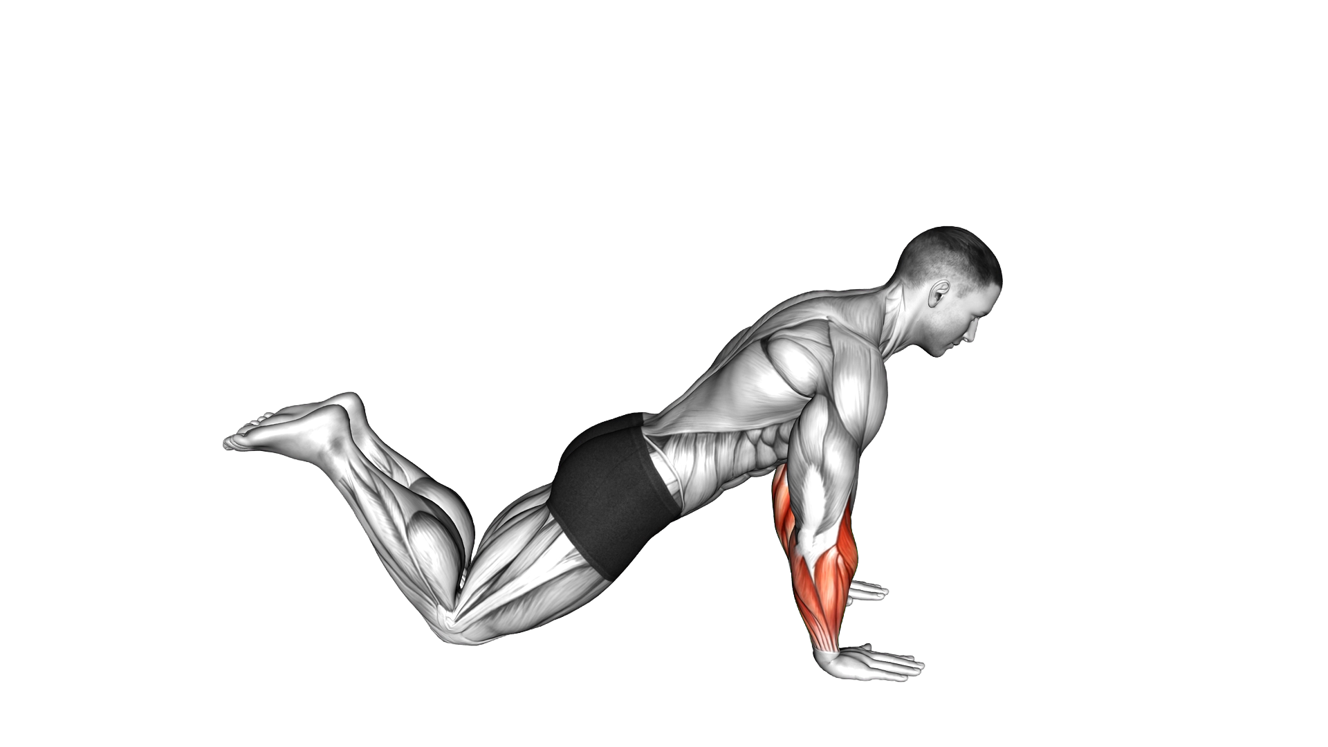 Kneeling Finger Press exercise demonstration