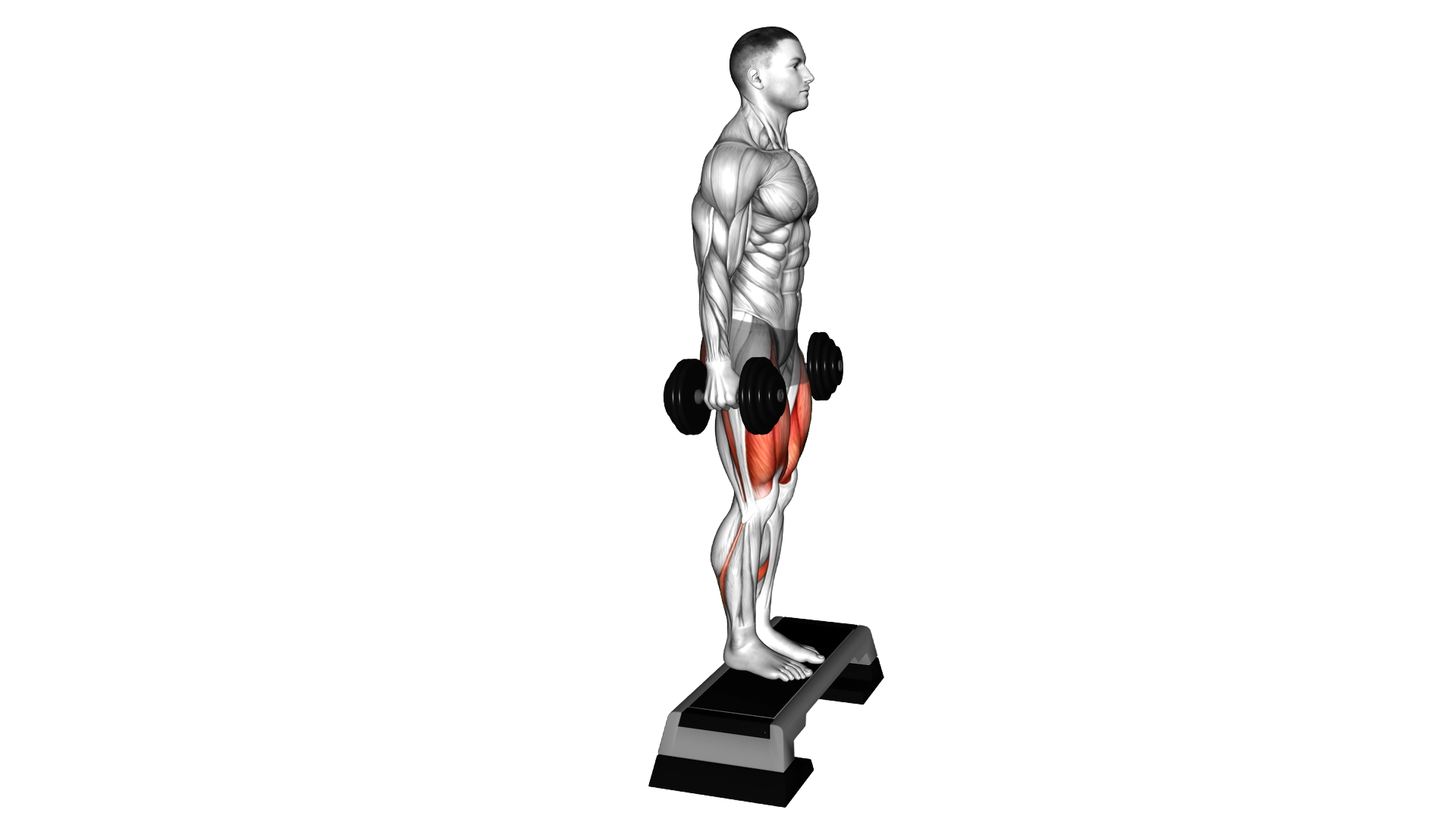 Dumbbell Reverse Lunge from Deficit exercise demonstration