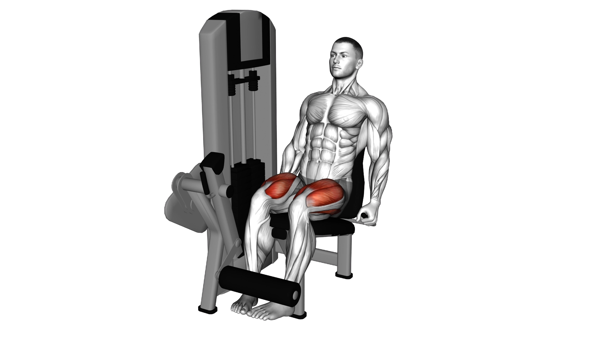 Lever Leg Extension (Inward Toes) exercise demonstration