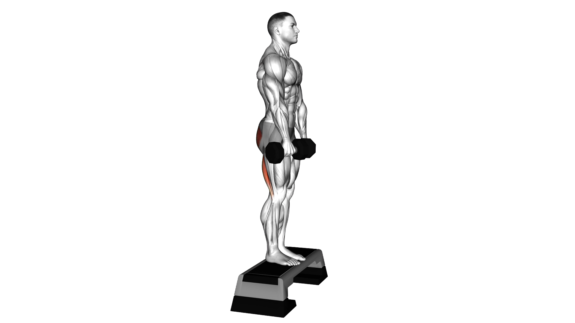 Dumbbell Jefferson Curl exercise demonstration