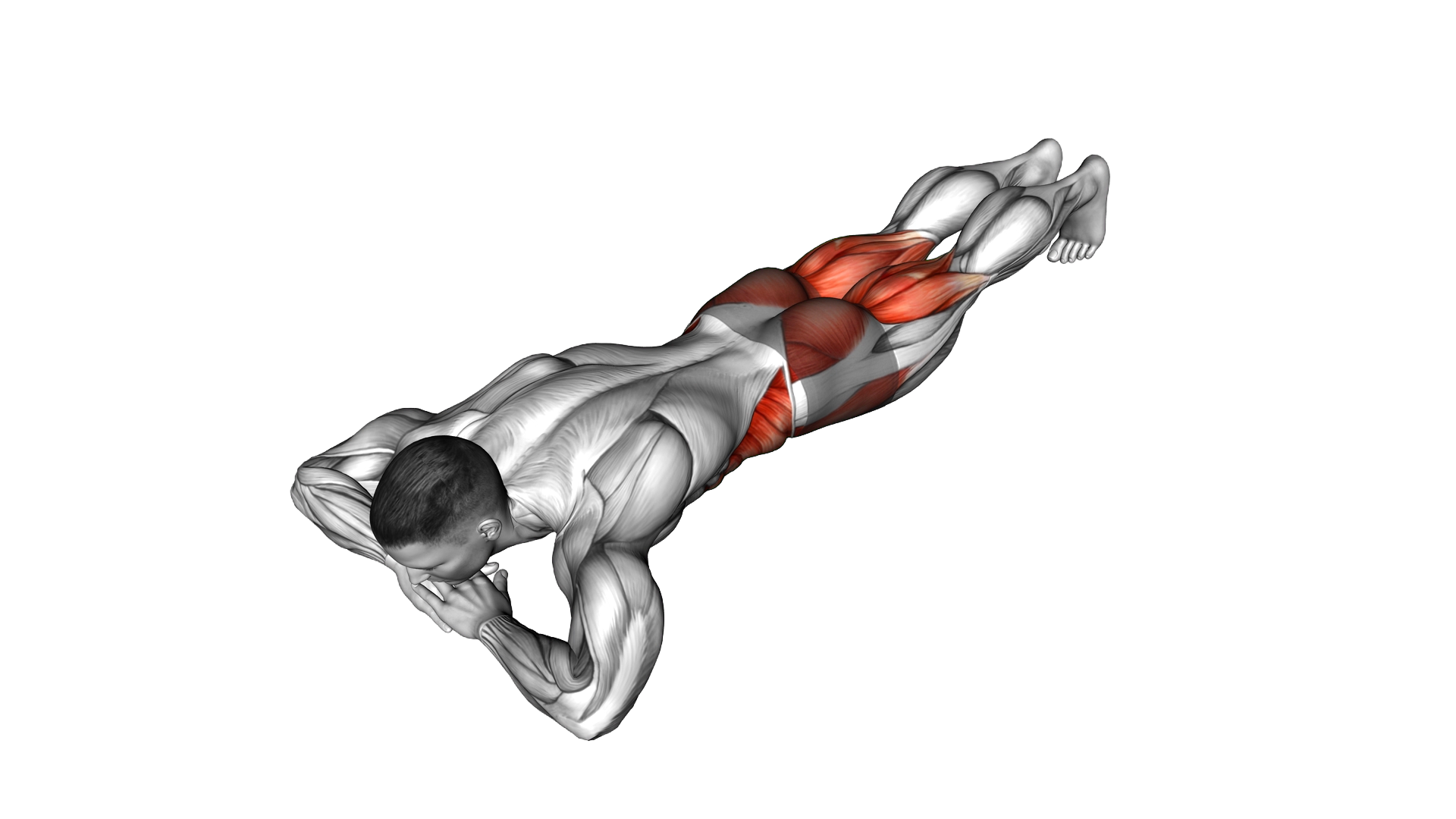 Lying Spiderman Crawl exercise demonstration