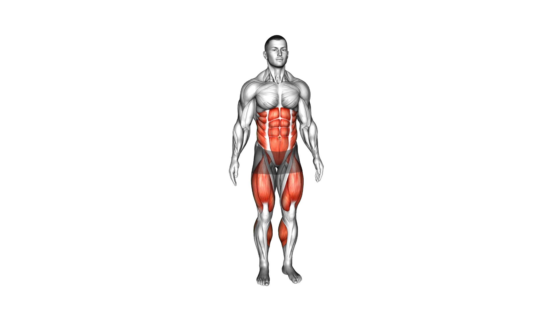 Reverse Lunge Knee Drive exercise demonstration