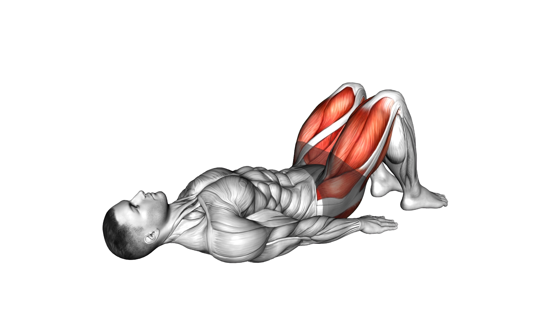 Glute Bridge Hip Abduction exercise demonstration