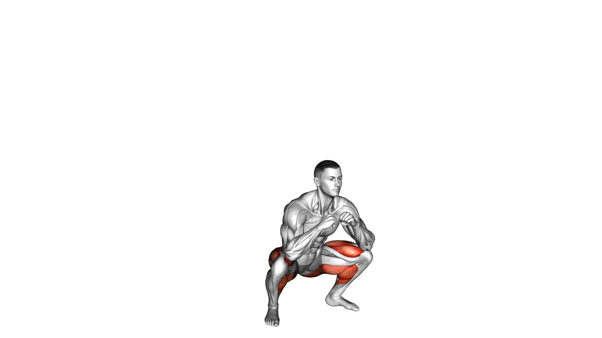 Mini Squat Hop exercise demonstration