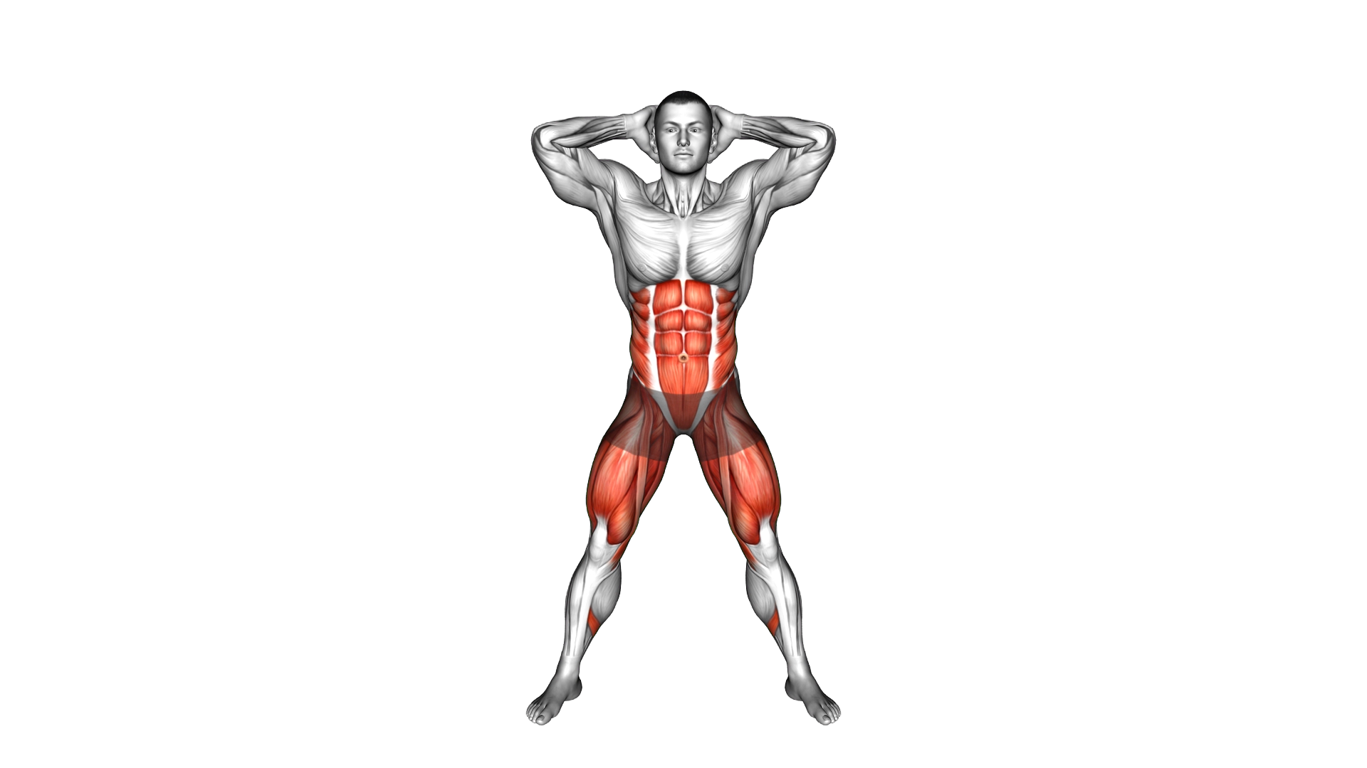 Side Crunch Squat exercise demonstration