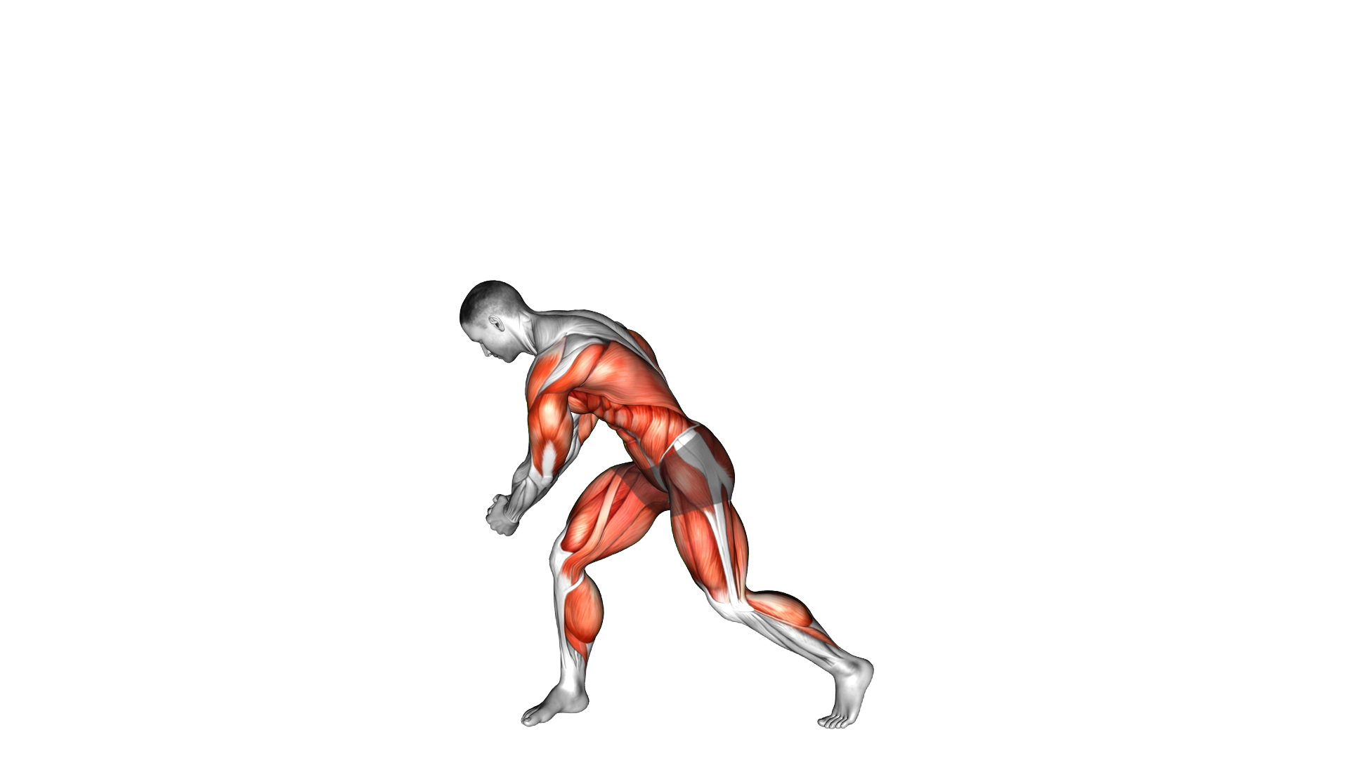 Twist Turn Chop exercise demonstration