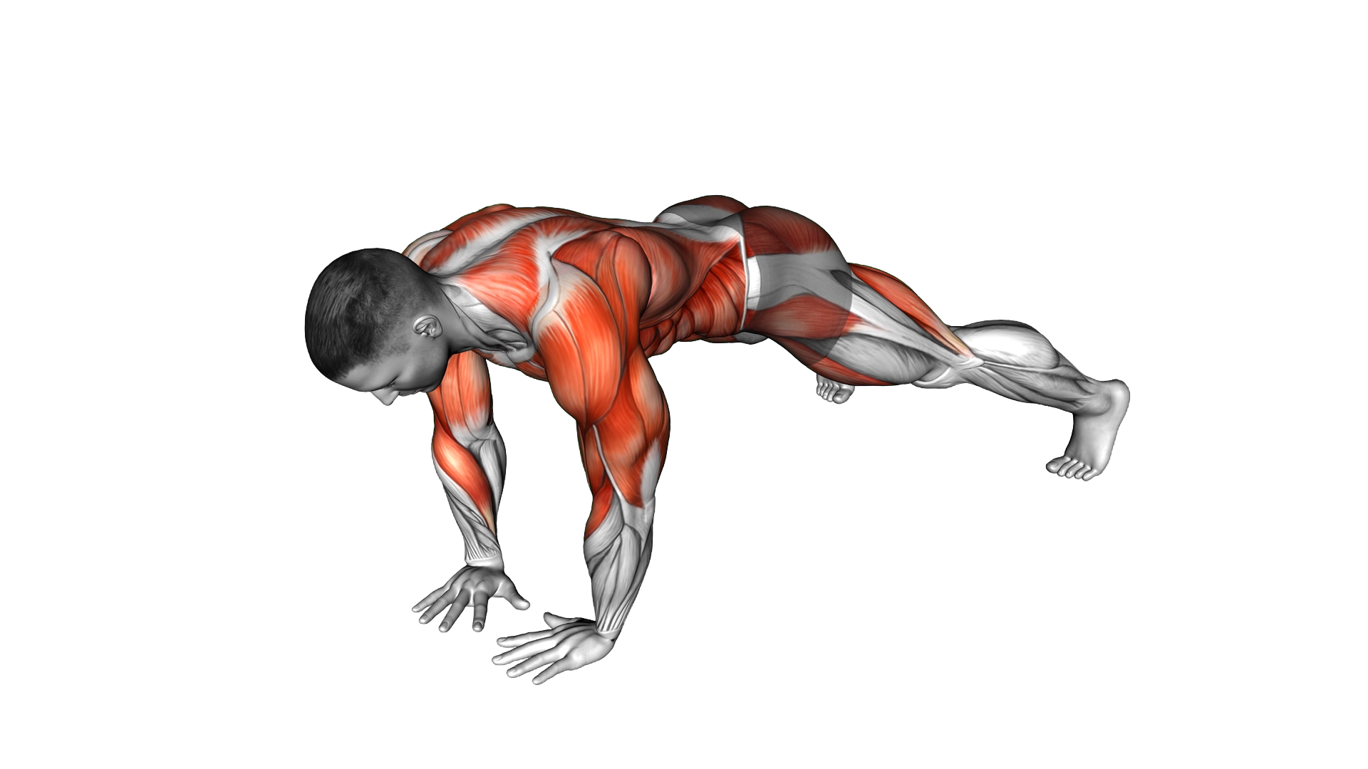 Wide Plank Side Tap exercise demonstration