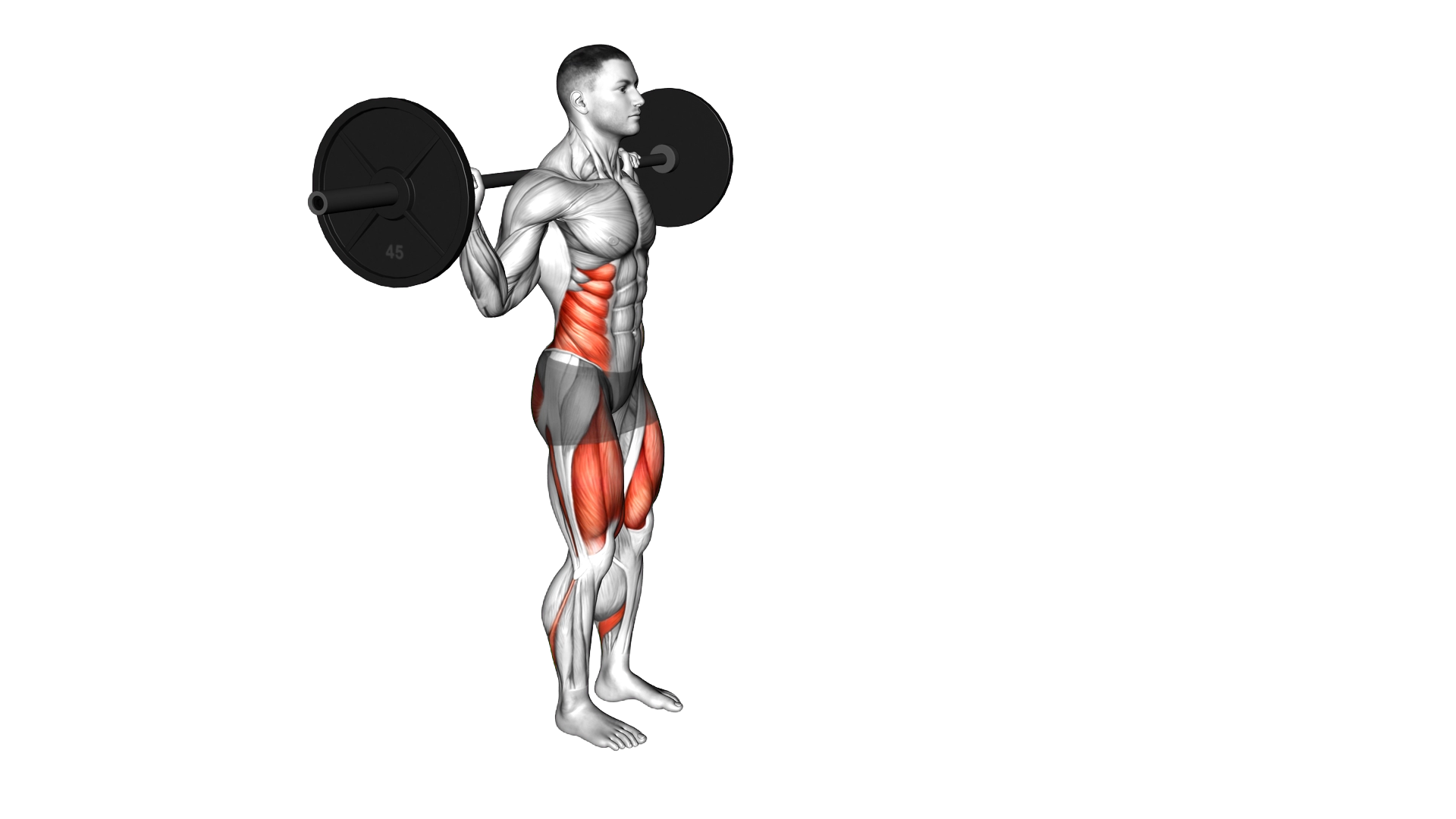 Barbell Lunge Twist exercise demonstration