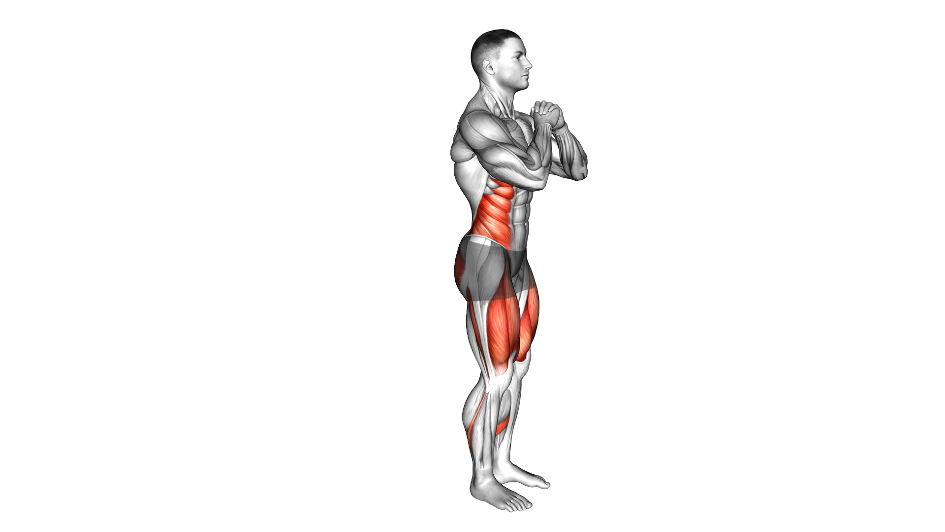 Bodyweight Rear Lunge Twist exercise demonstration
