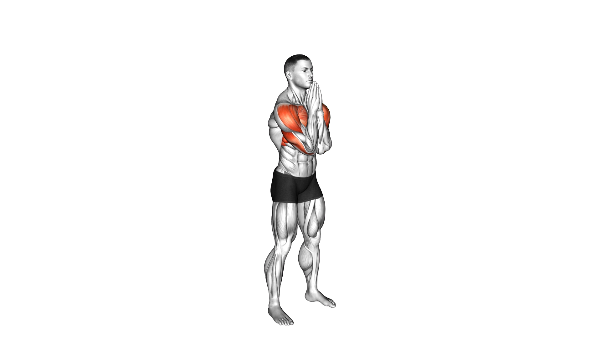Prayer Push Hold exercise demonstration