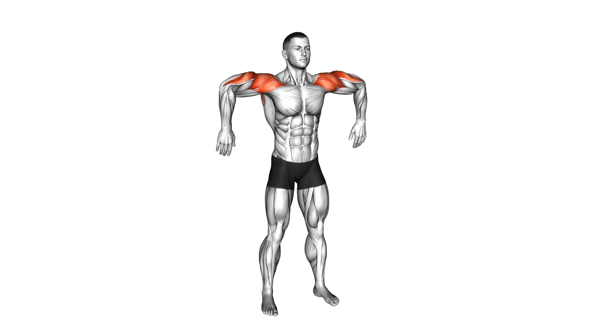 Downward Punch exercise demonstration