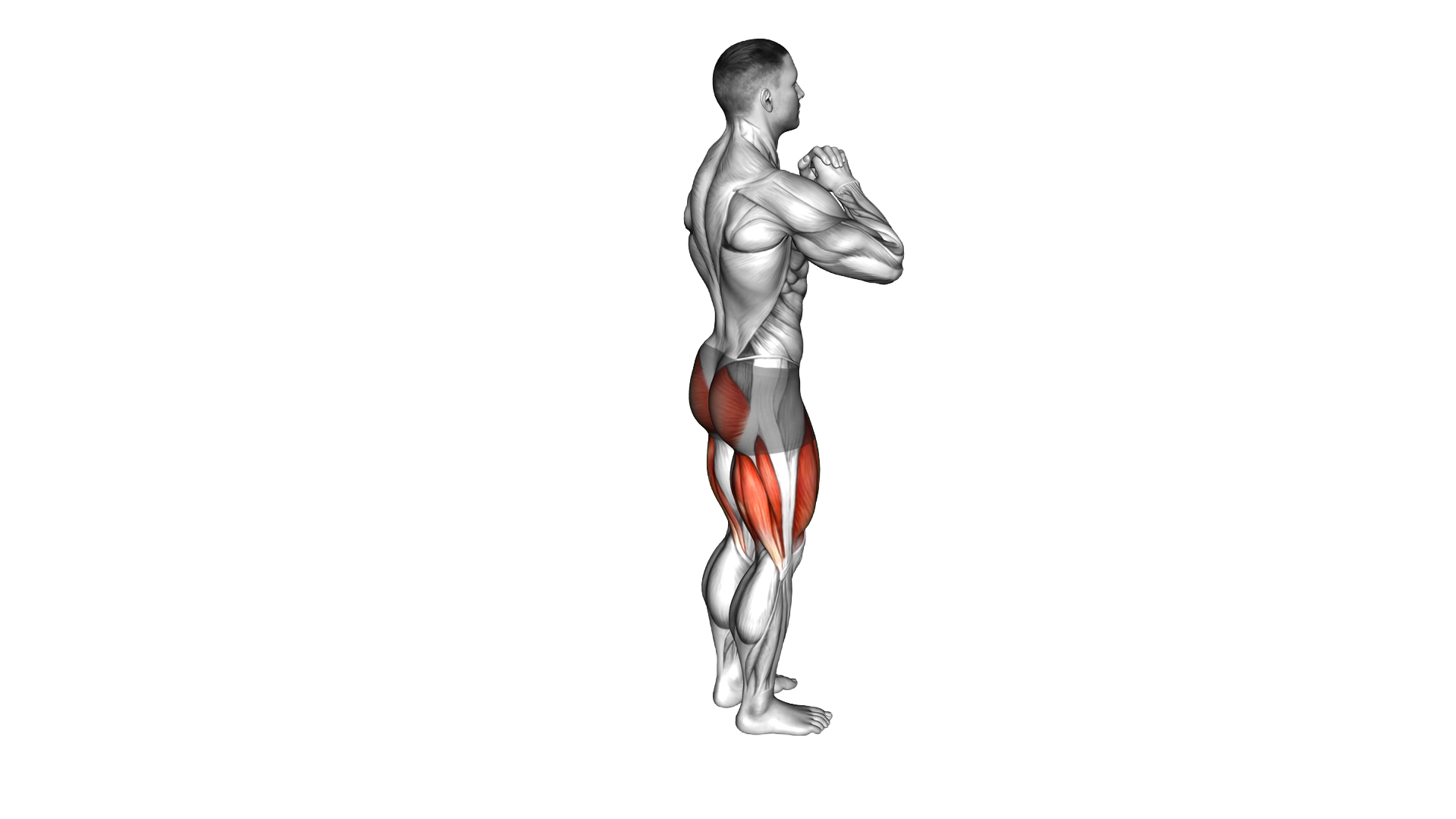 Reverse Lunge High Knee exercise demonstration