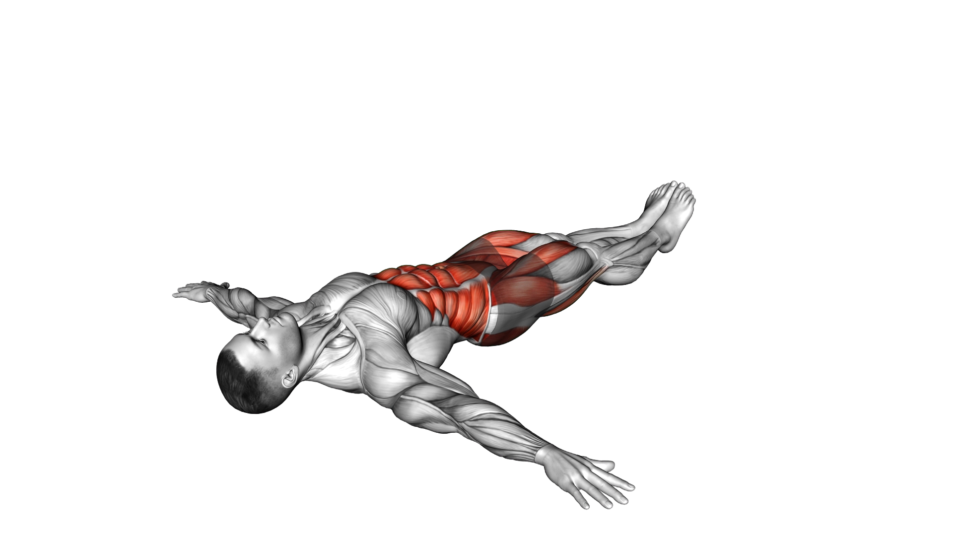 Lying Side Reverse Crunch exercise demonstration