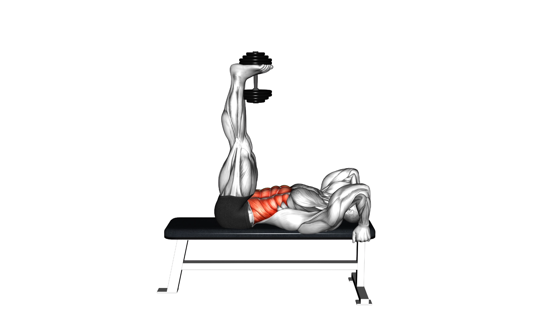 Weighted Dumbbell Lying Flat Hip Raise exercise demonstration