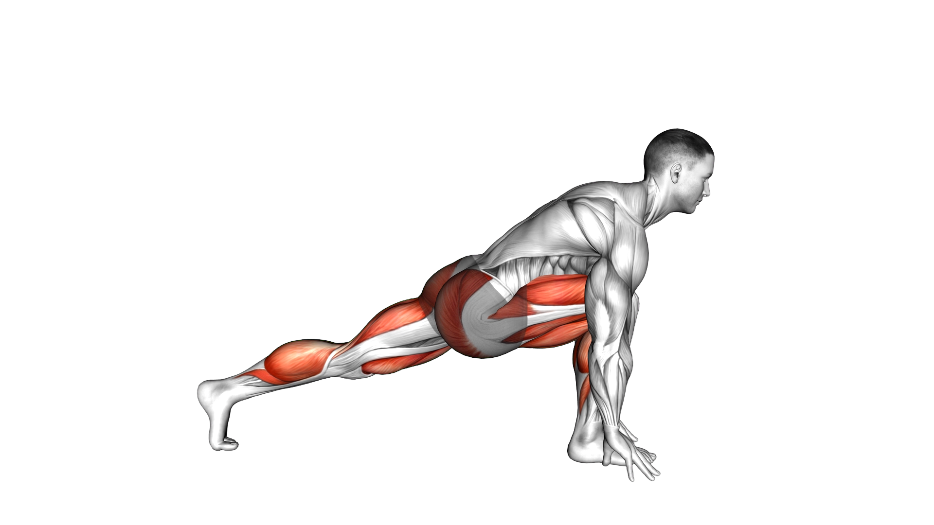 High Lunge exercise demonstration