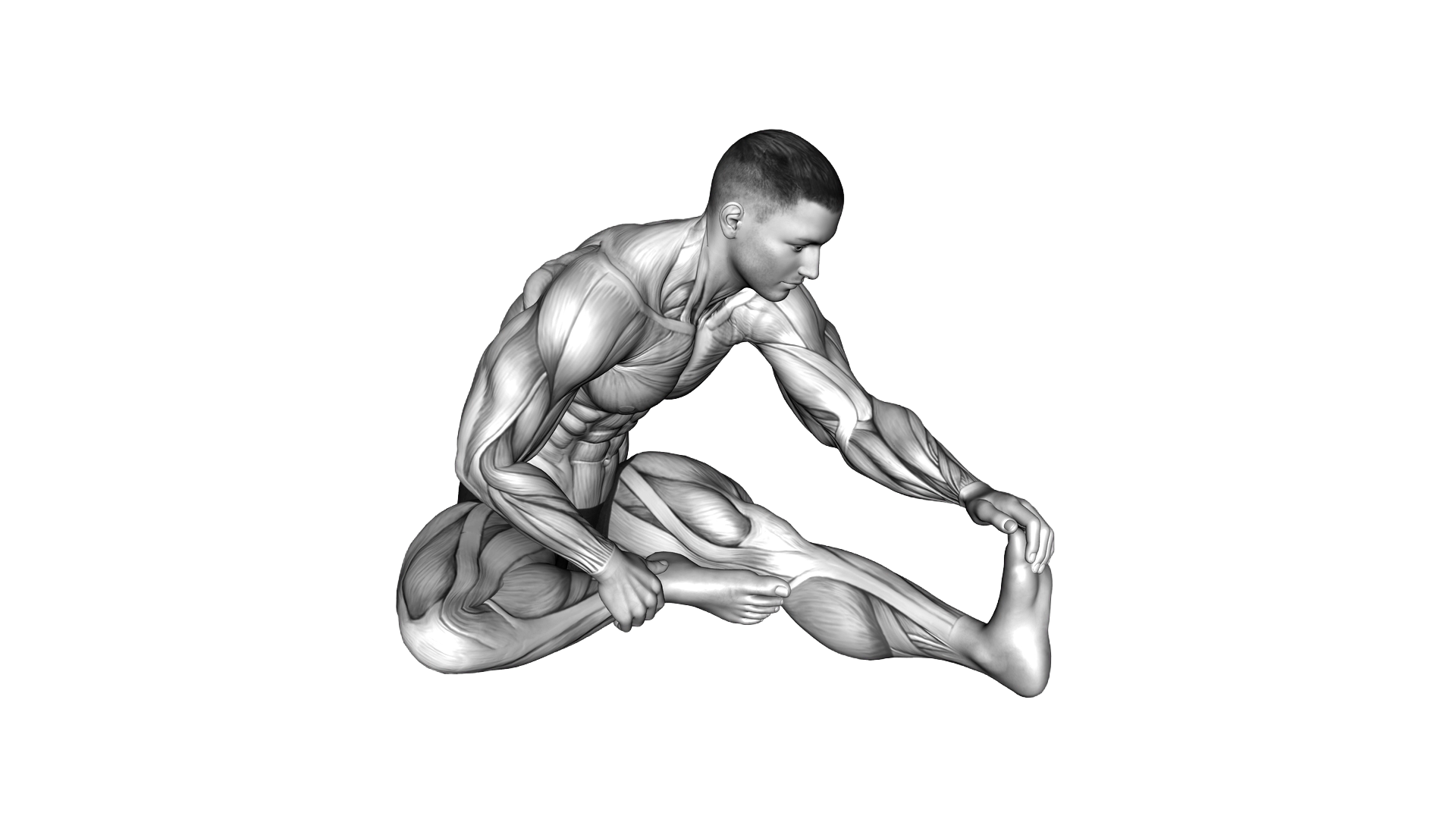 Seated Single Leg Hamstring Stretch exercise demonstration