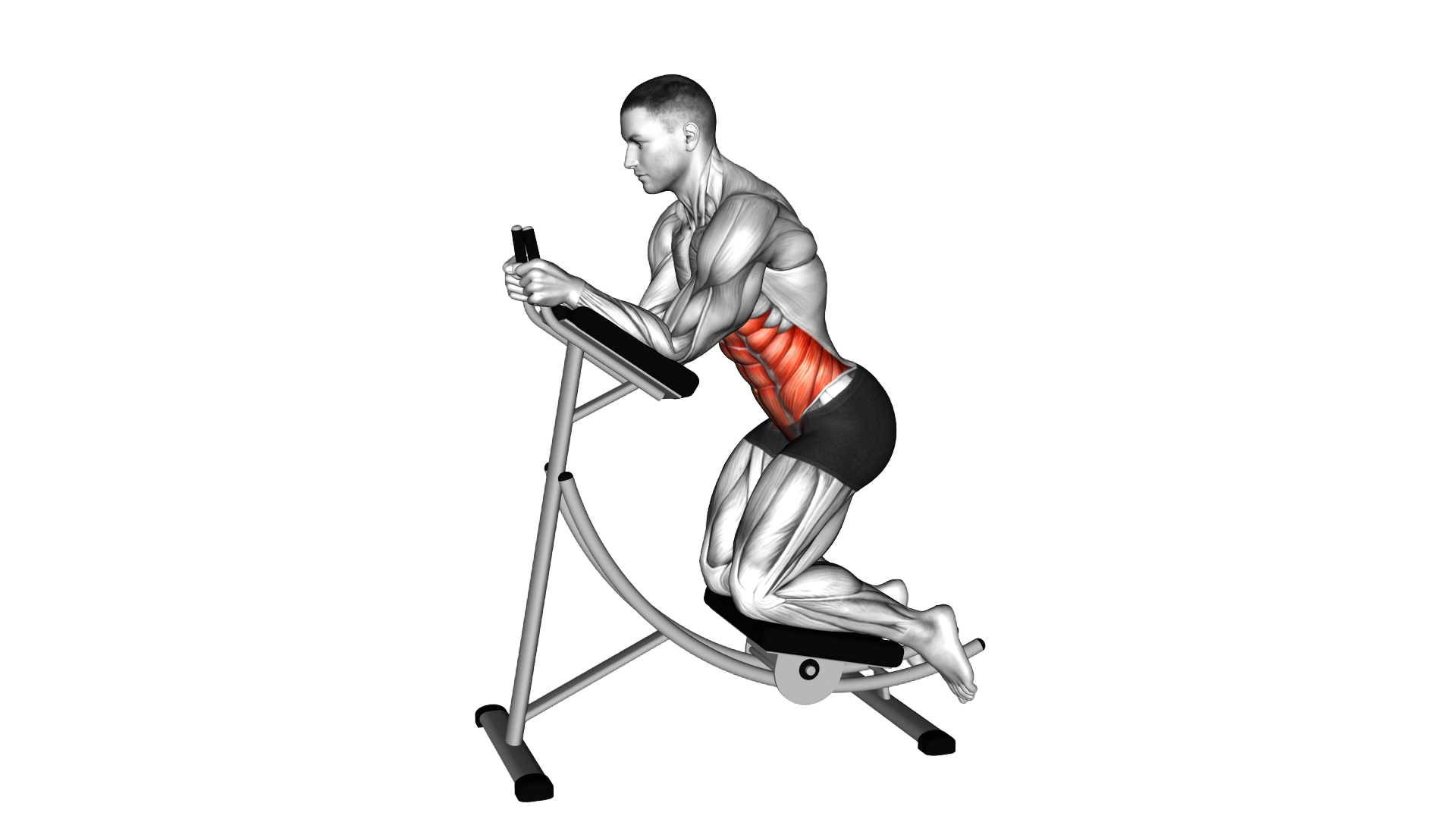 Lever Ab Coaster Crunch exercise demonstration