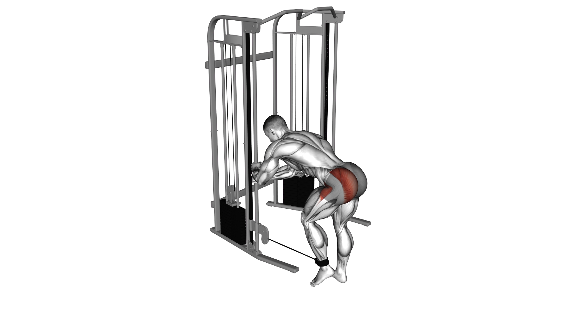 Cable Donkey Diagonal Kickback exercise demonstration