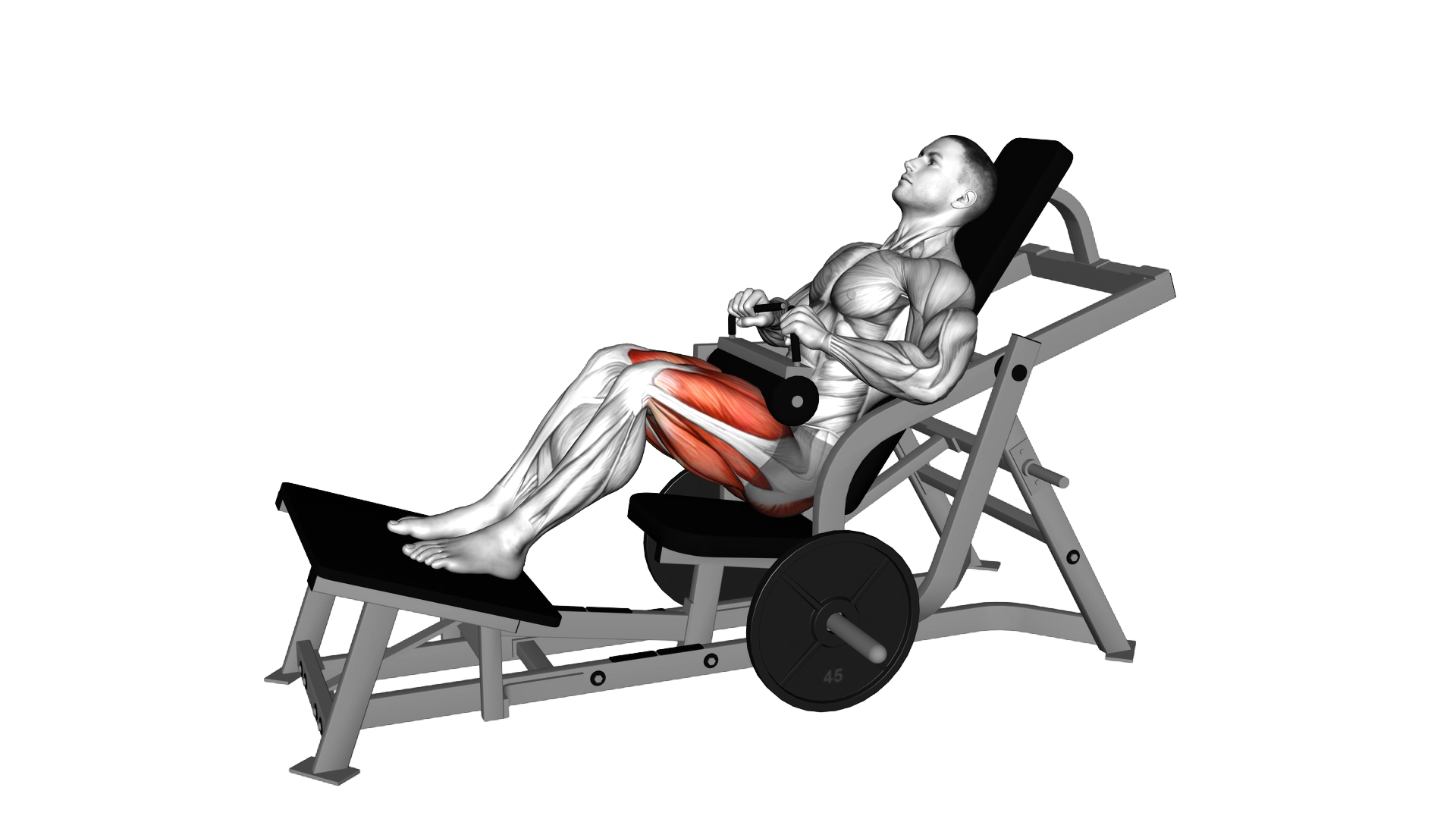 Lever Hip Thrust (plate loaded) exercise demonstration