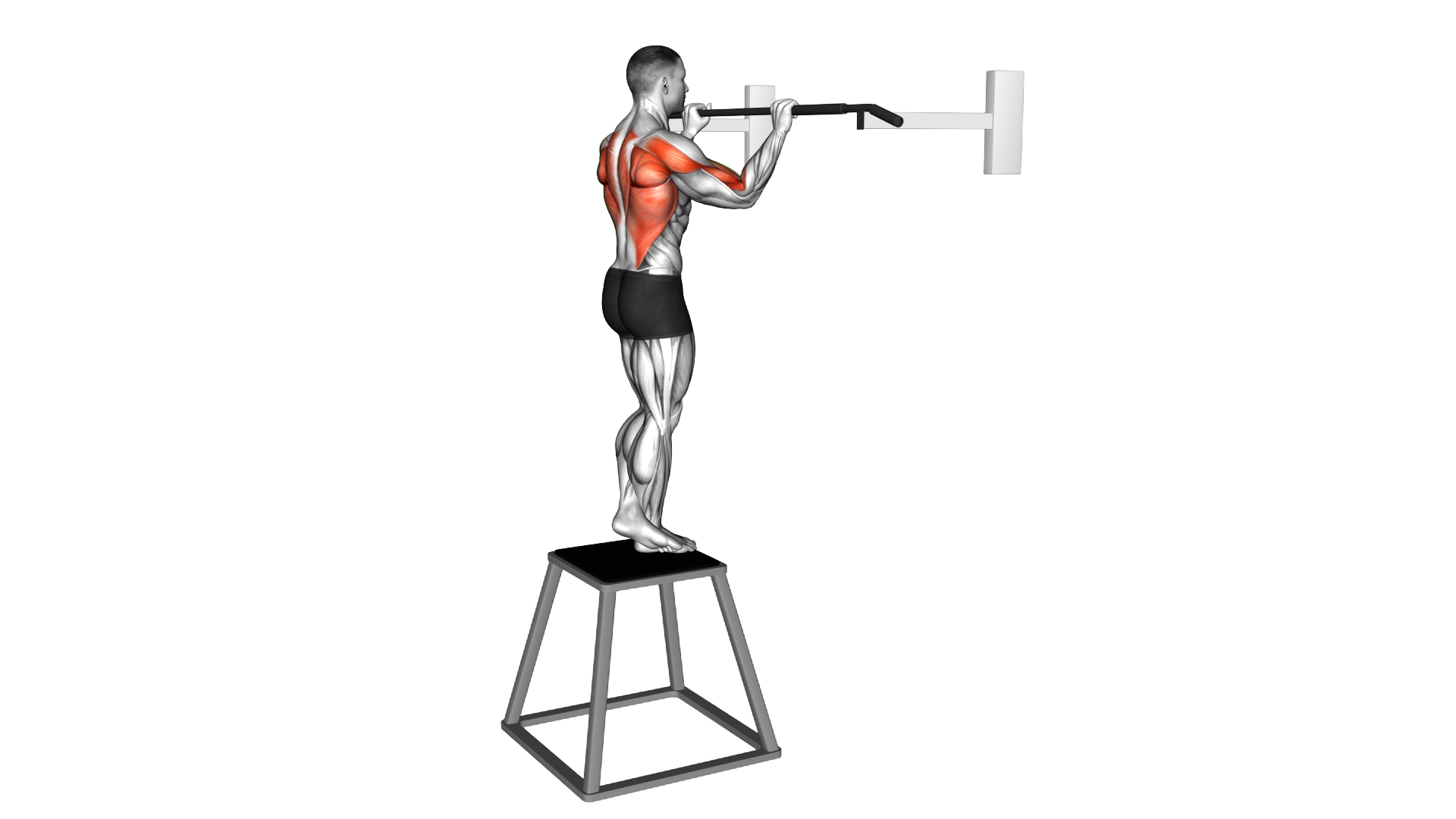 Pull up (negative) exercise demonstration