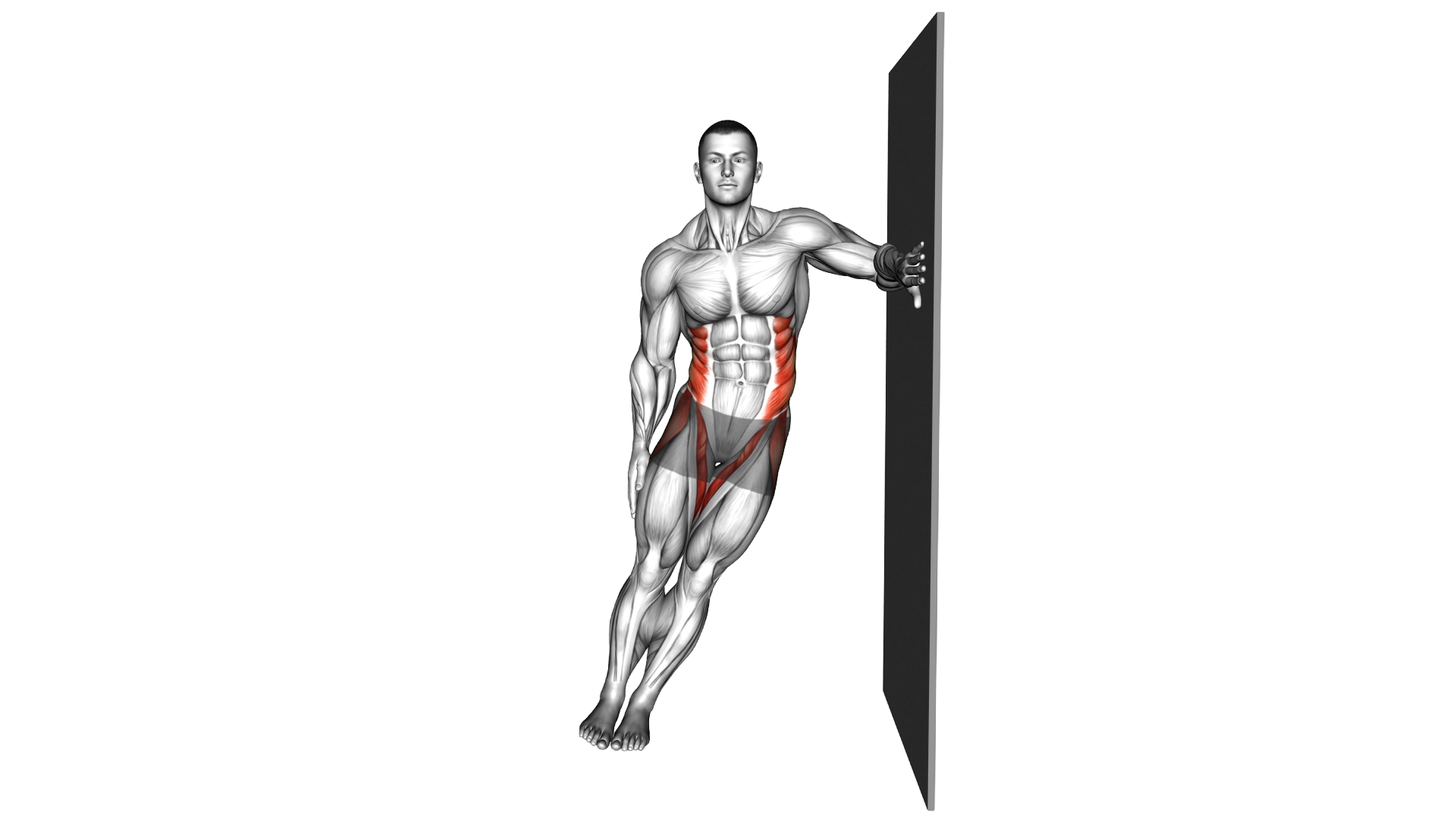Side Wall Plank exercise demonstration