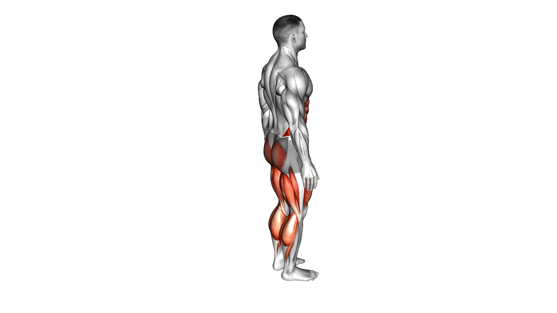 Reverse Lunge Front Kick exercise demonstration