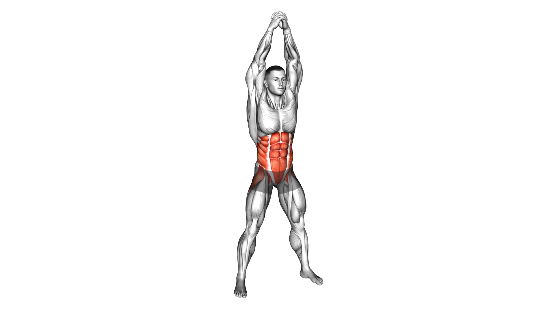Standing Obliques Rotation exercise demonstration