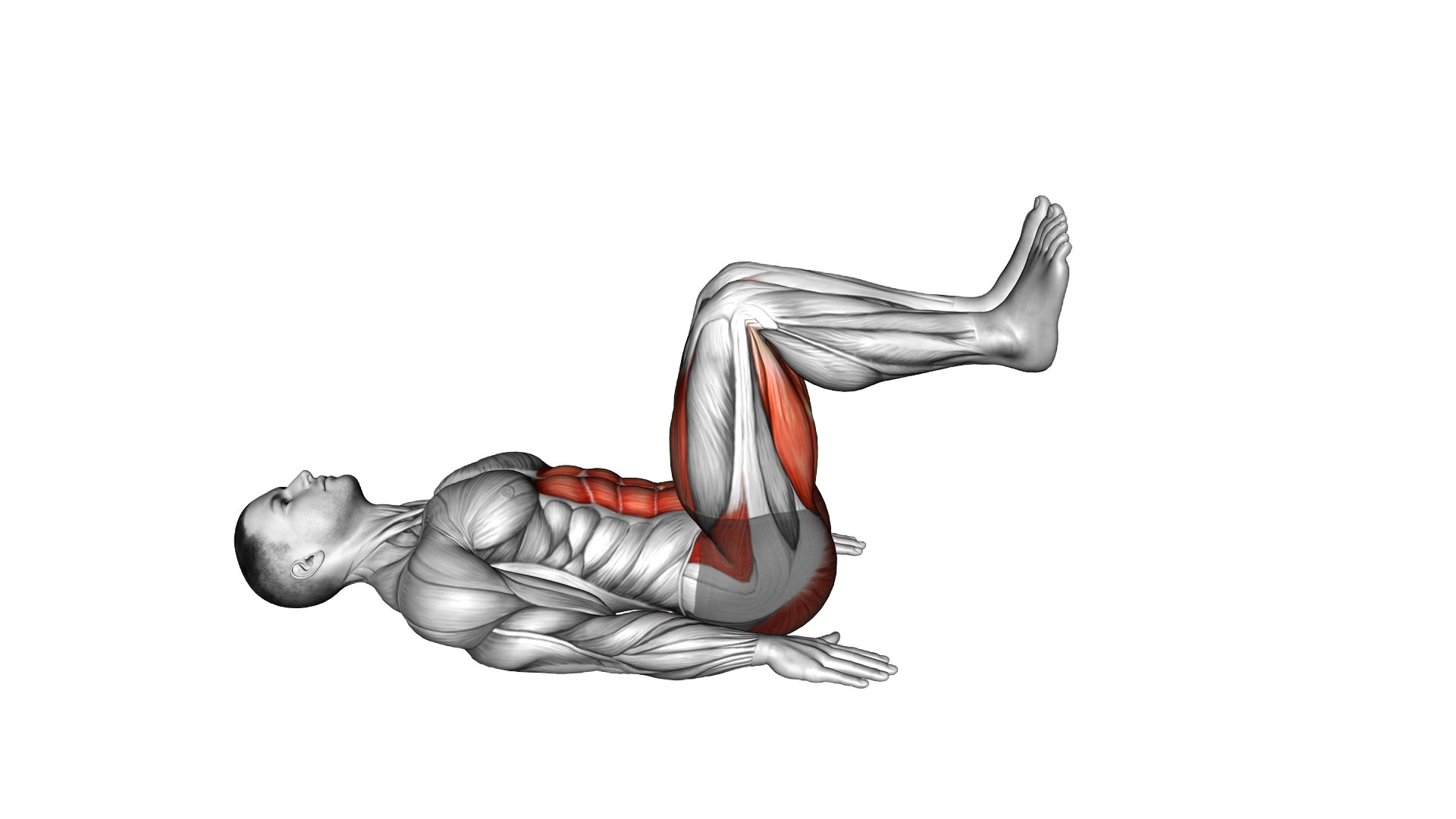 Alternate Bent Leg 45 degree extension exercise demonstration