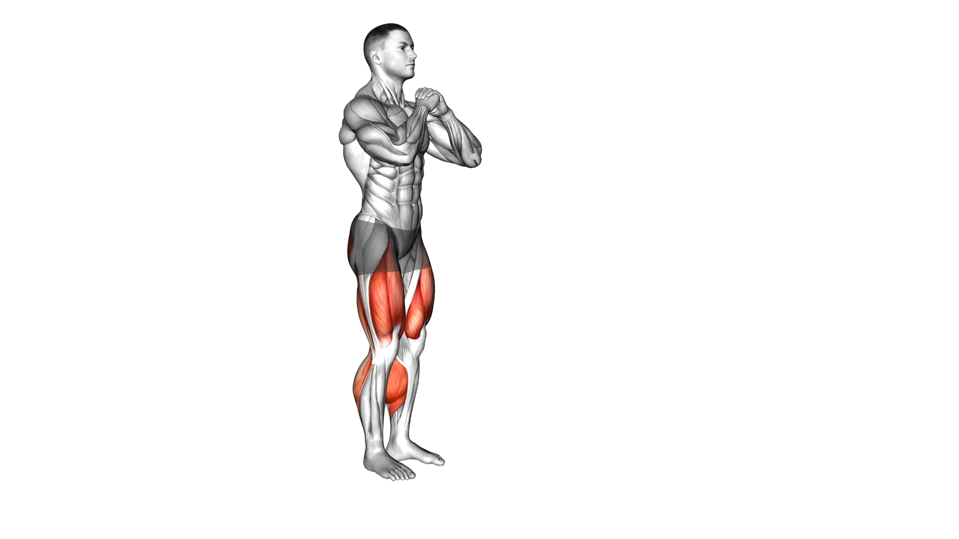 Reverse Lunge High Knee Forward Lunge exercise demonstration