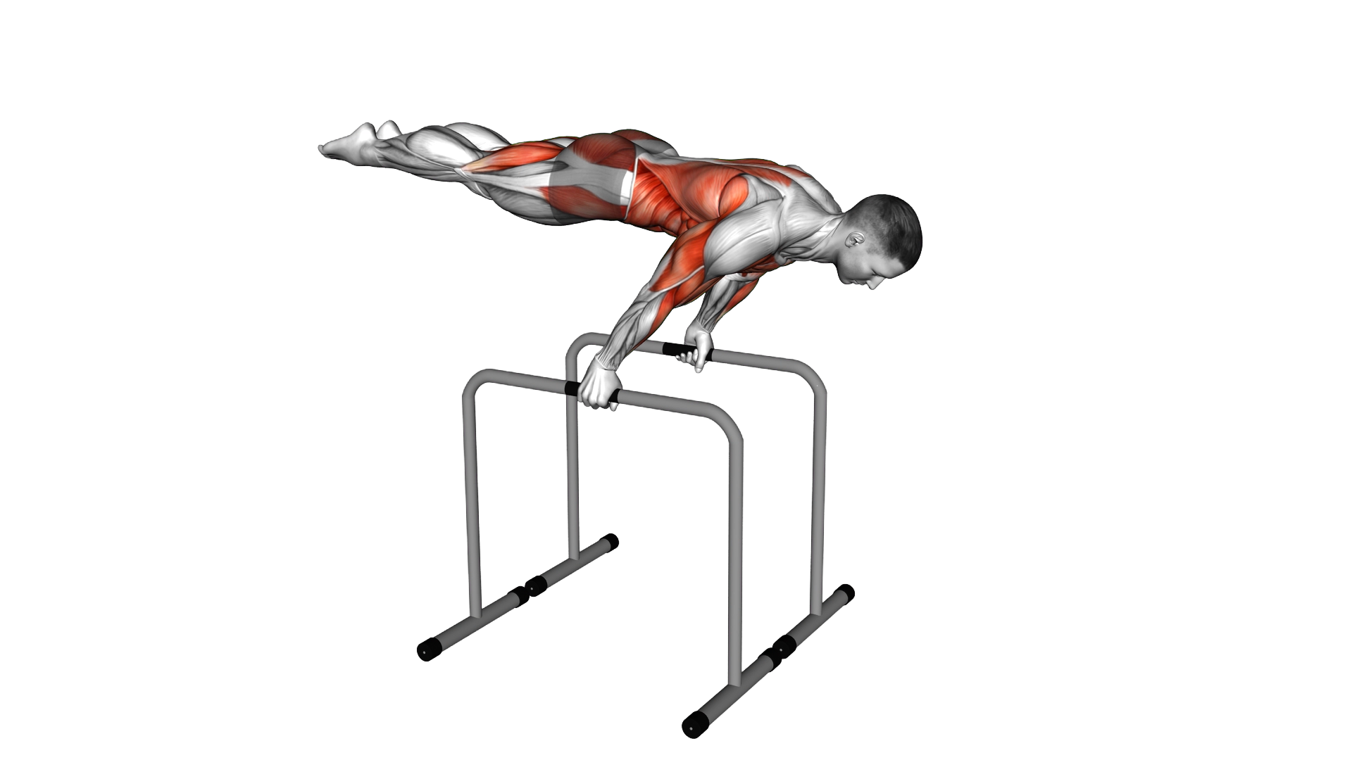 Planche Dip on Parallel Bars exercise thumbnail